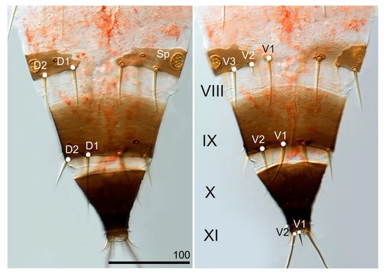 Insects 13 00279 g0a2