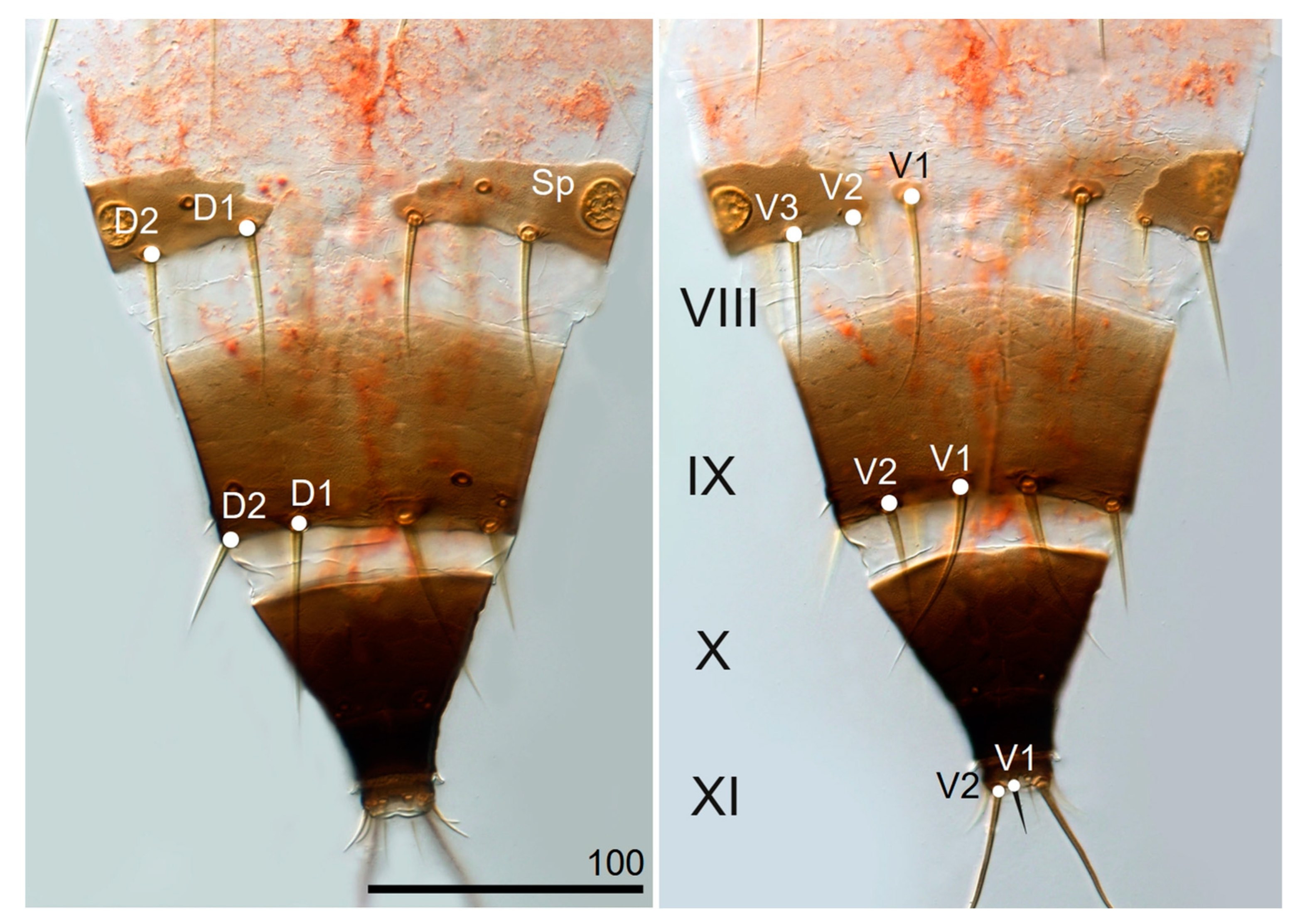 Insects 13 00279 g0a2