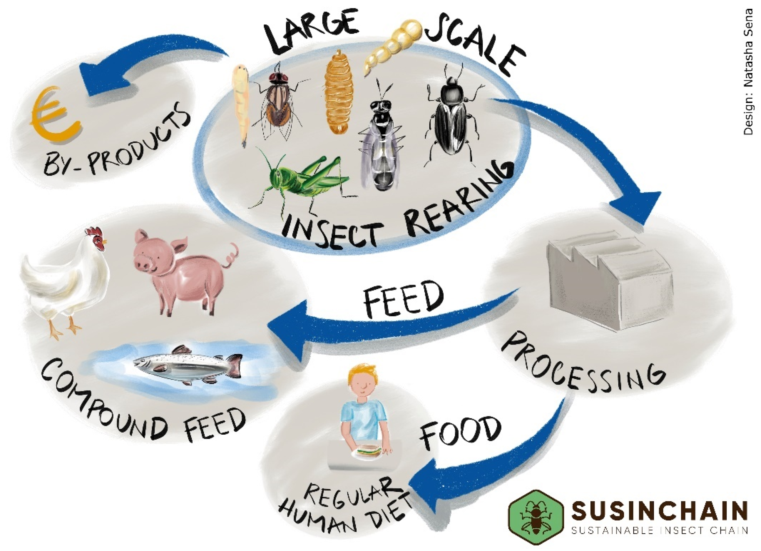 Insects 13 00281 g002