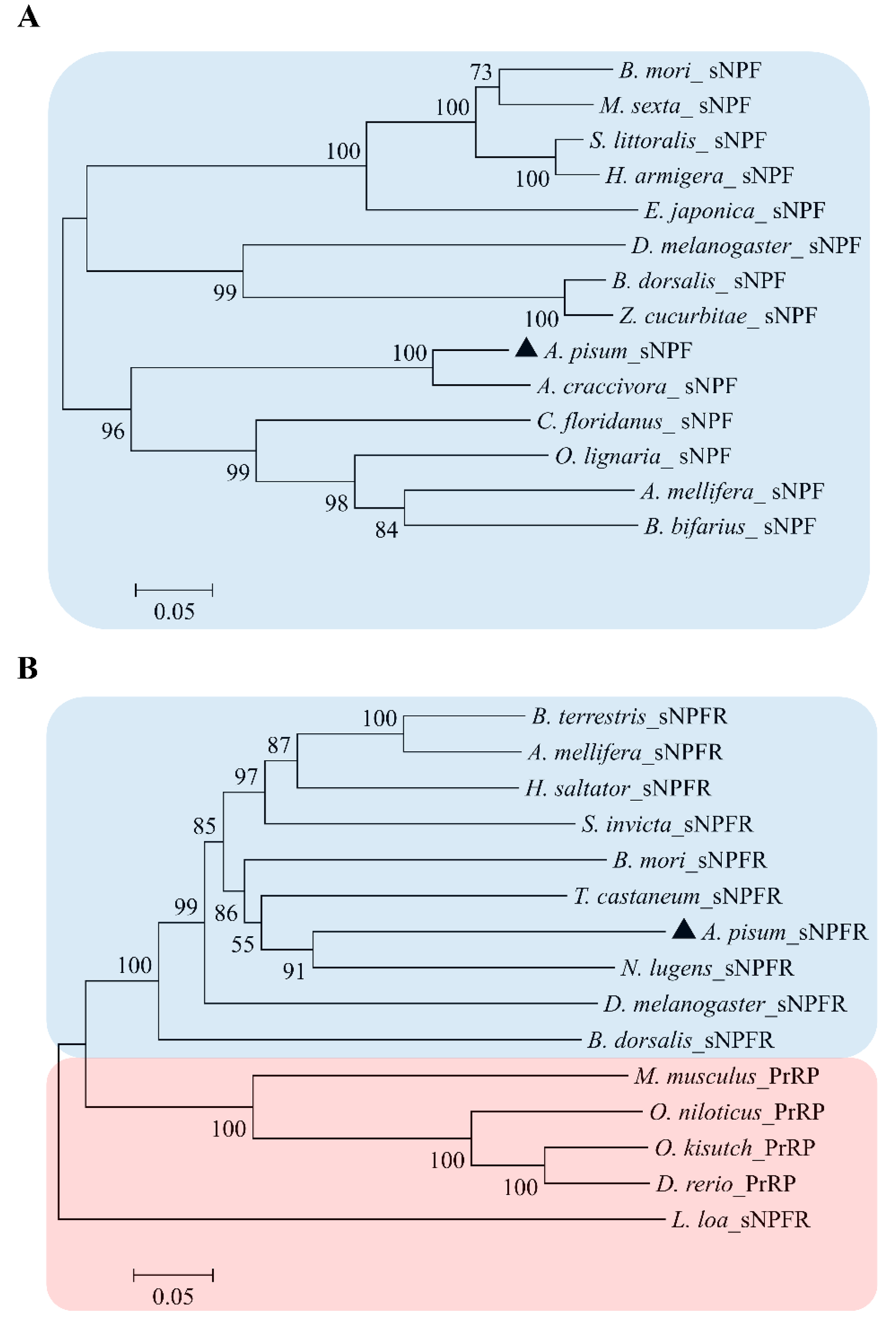Insects 13 00282 g003
