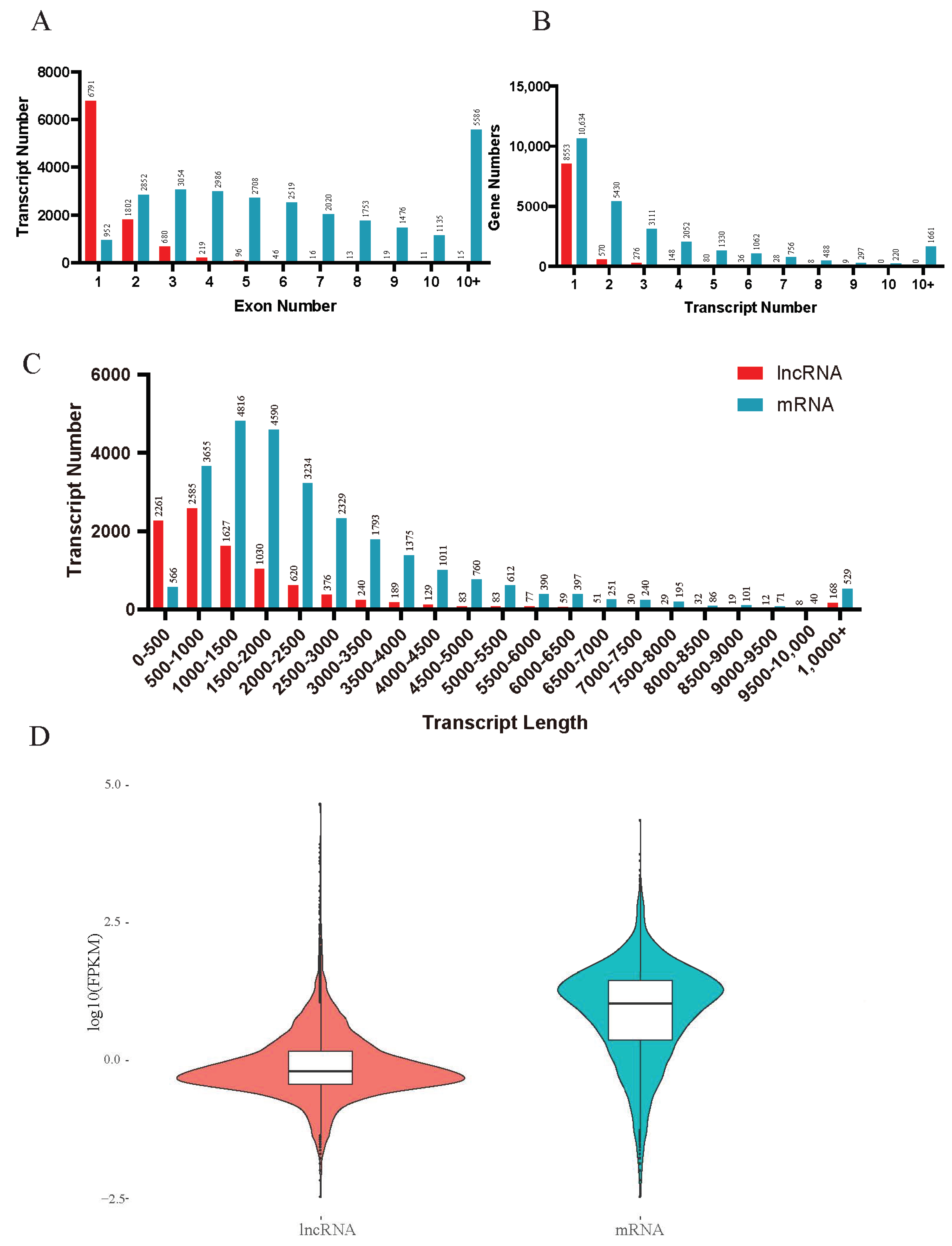 Insects 13 00283 g002
