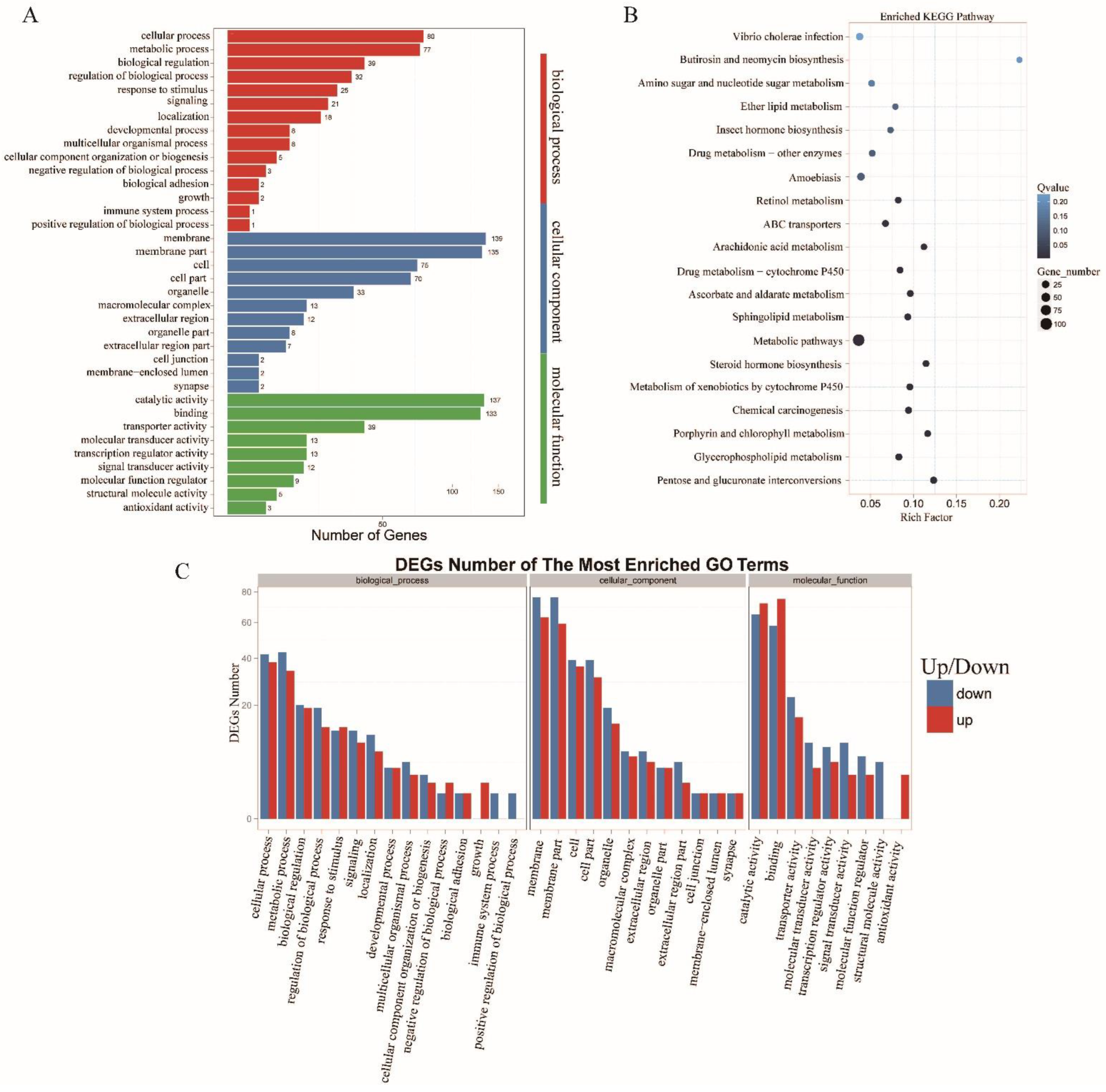 Insects 13 00283 g006