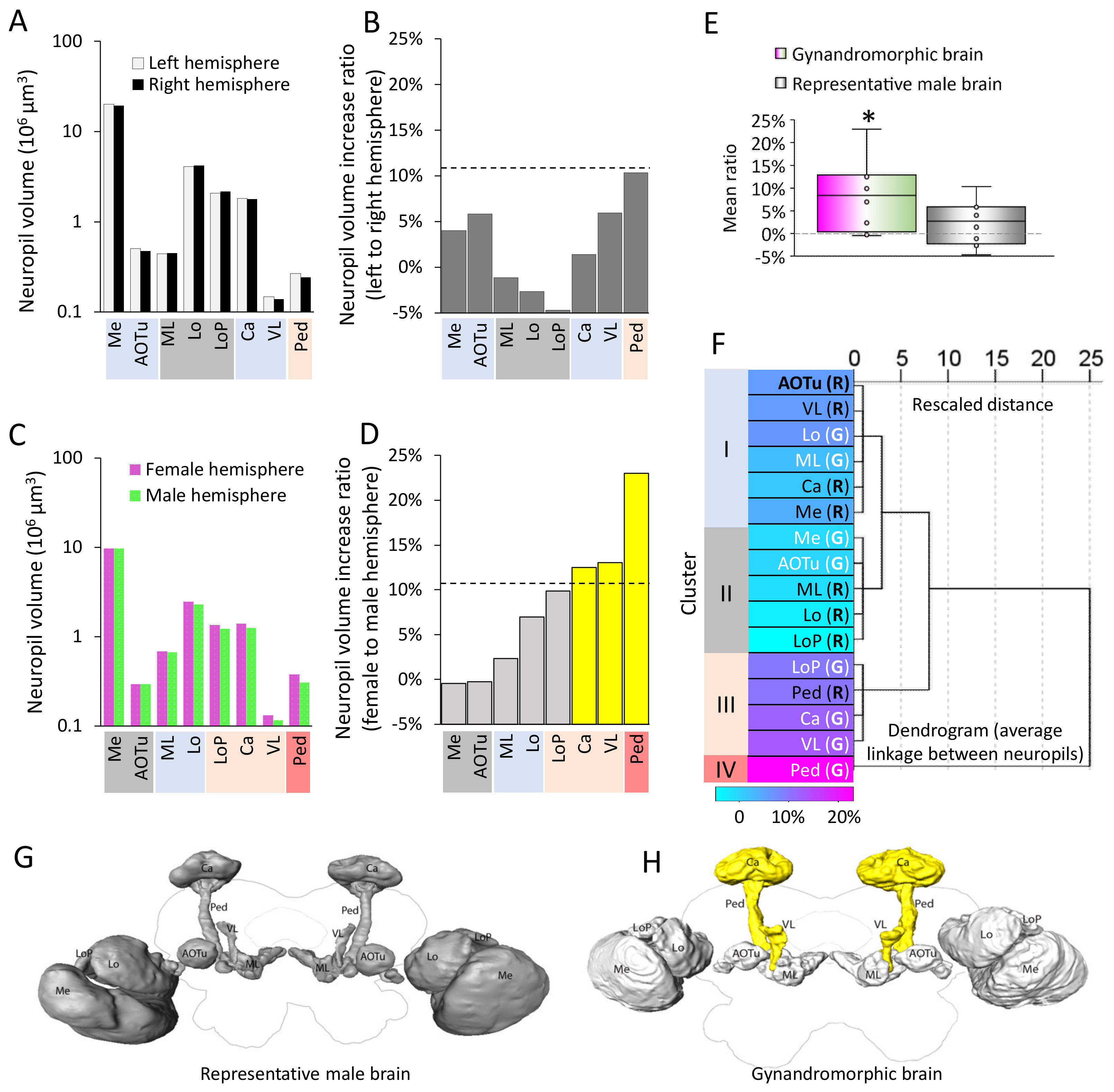 Insects 13 00284 g002