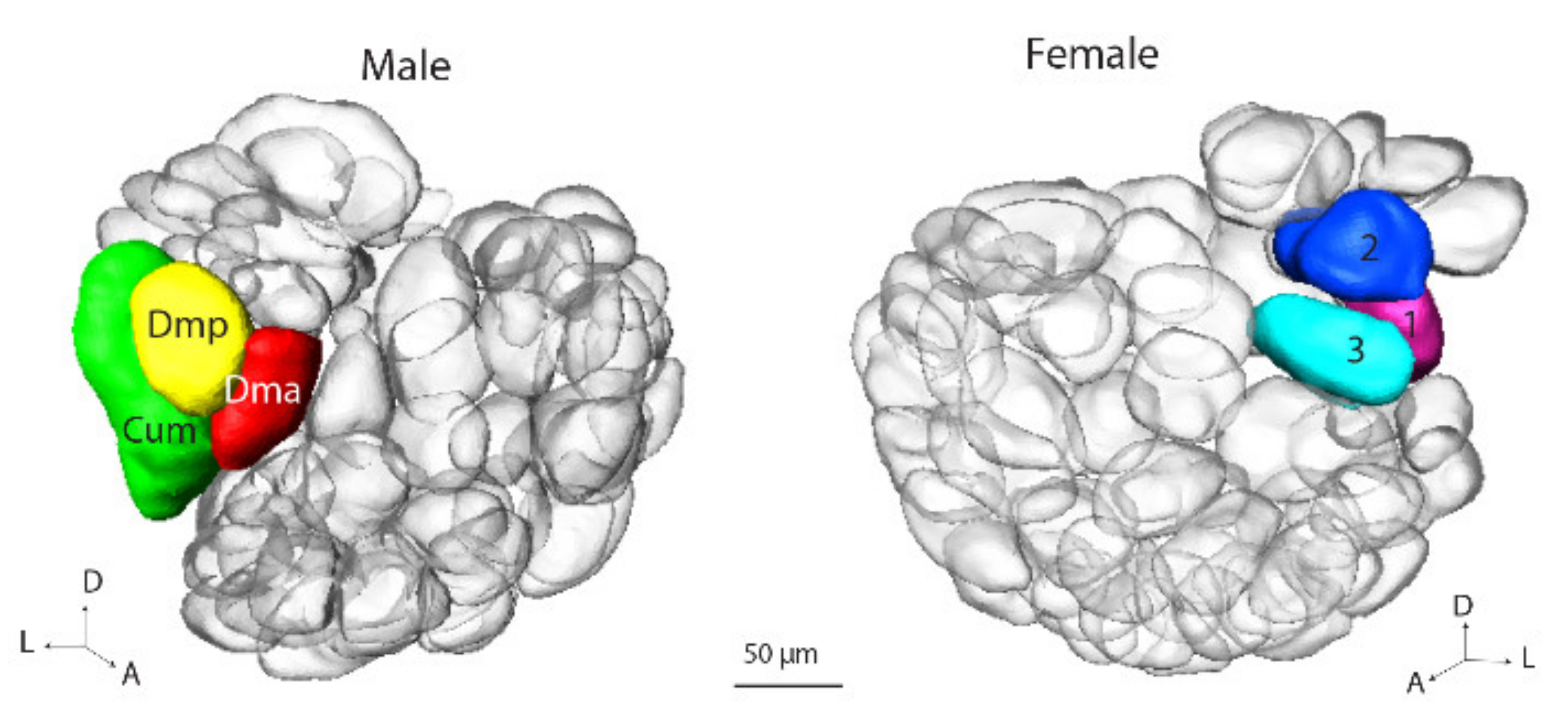 Insects 13 00284 g003