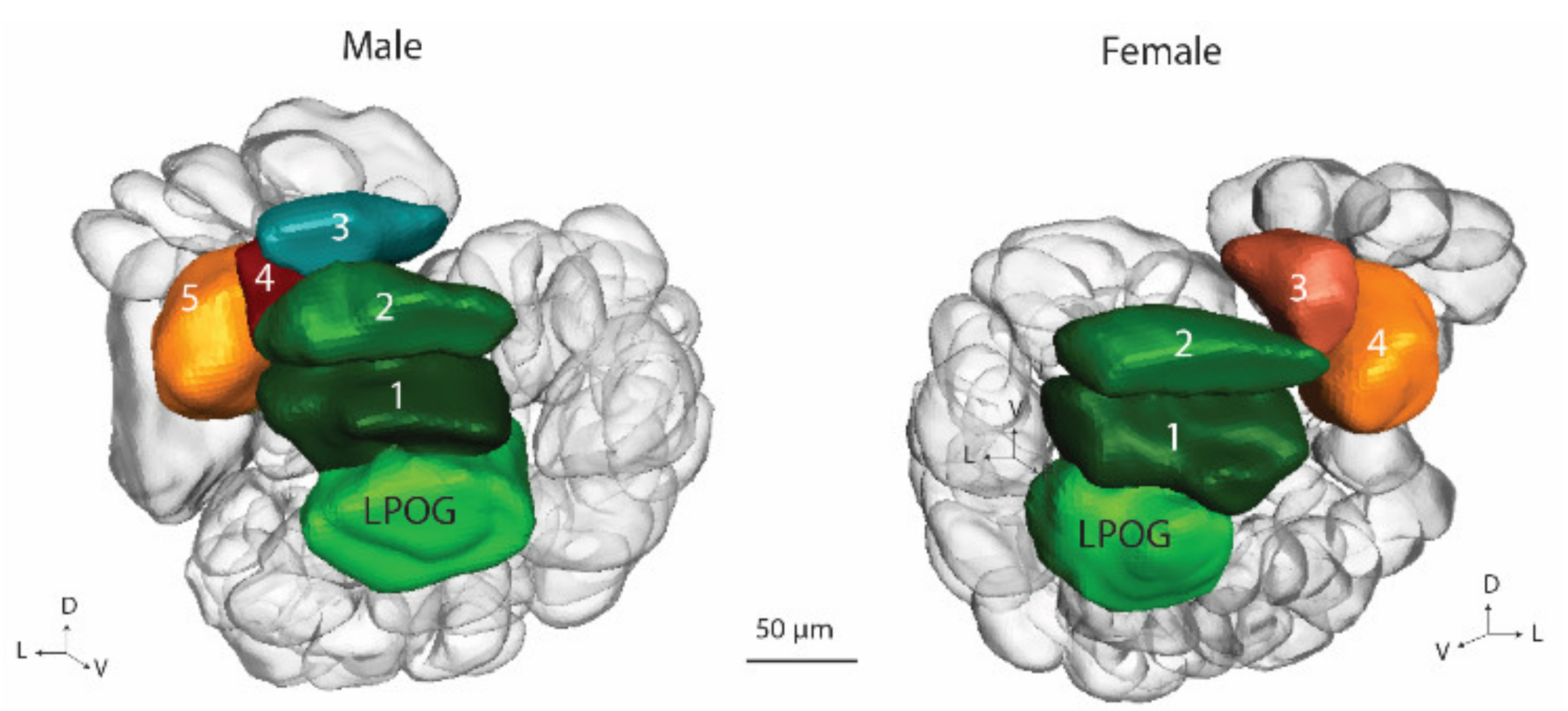 Insects 13 00284 g006