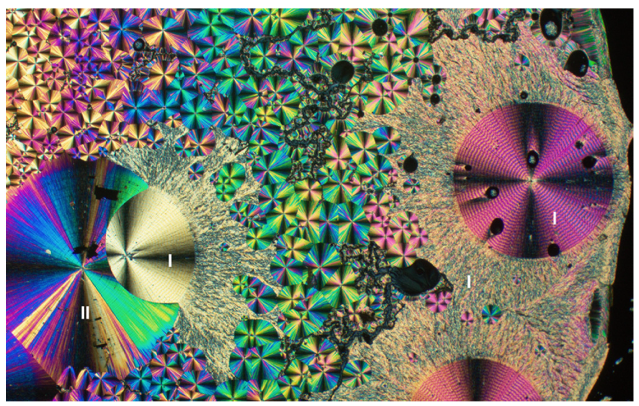 Insects 13 00292 g006