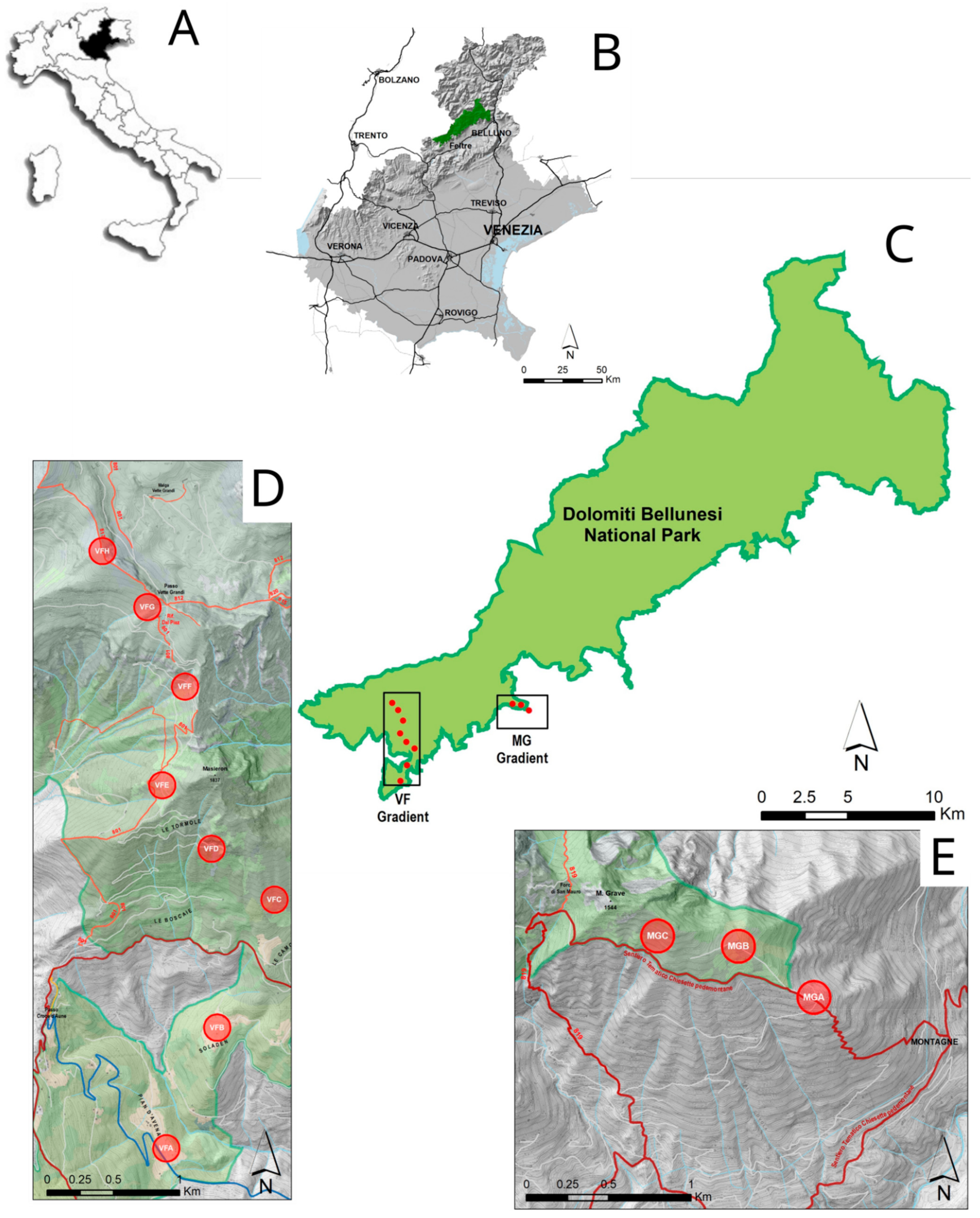 Insects 13 00293 g001