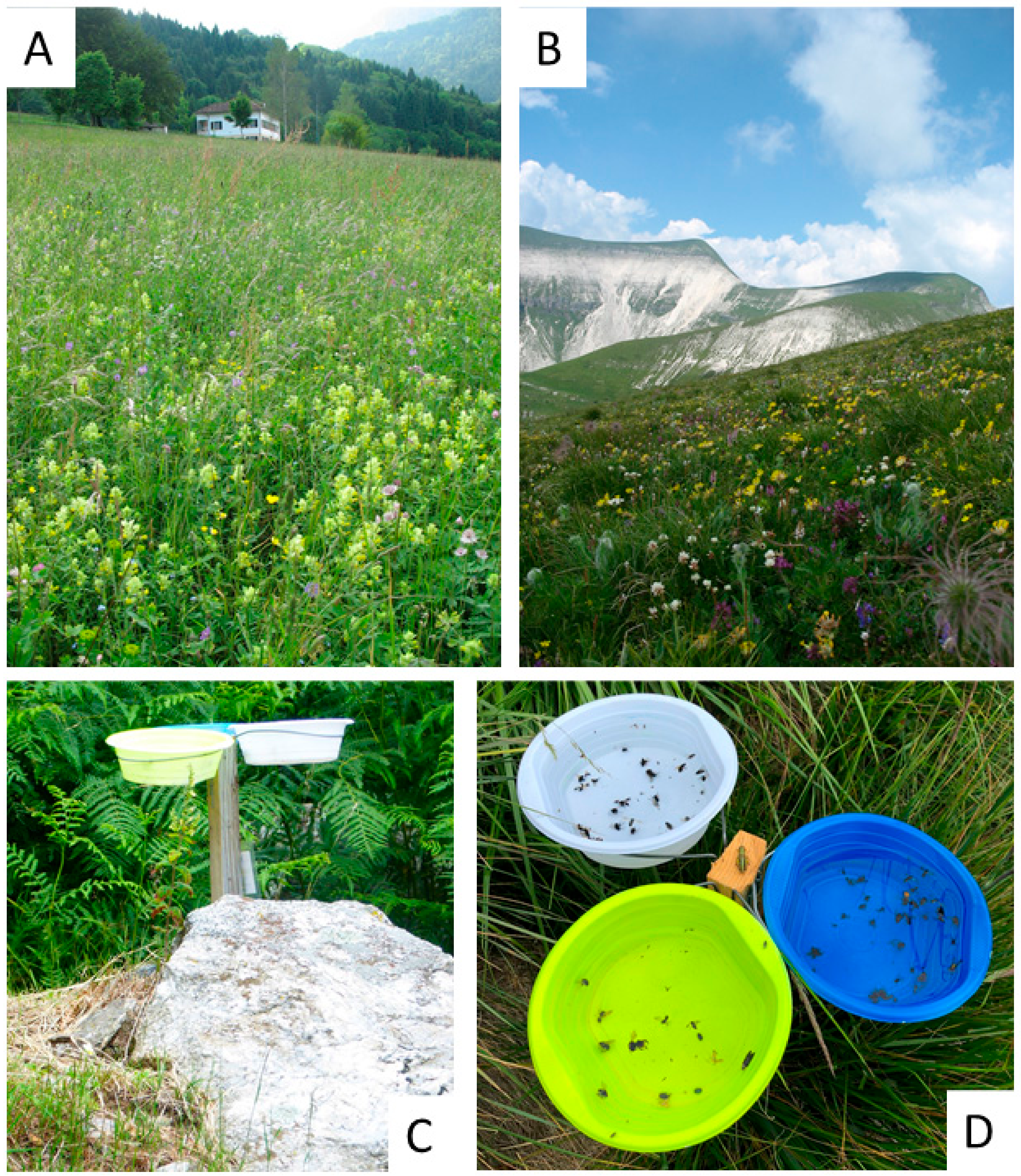 Insects 13 00293 g002