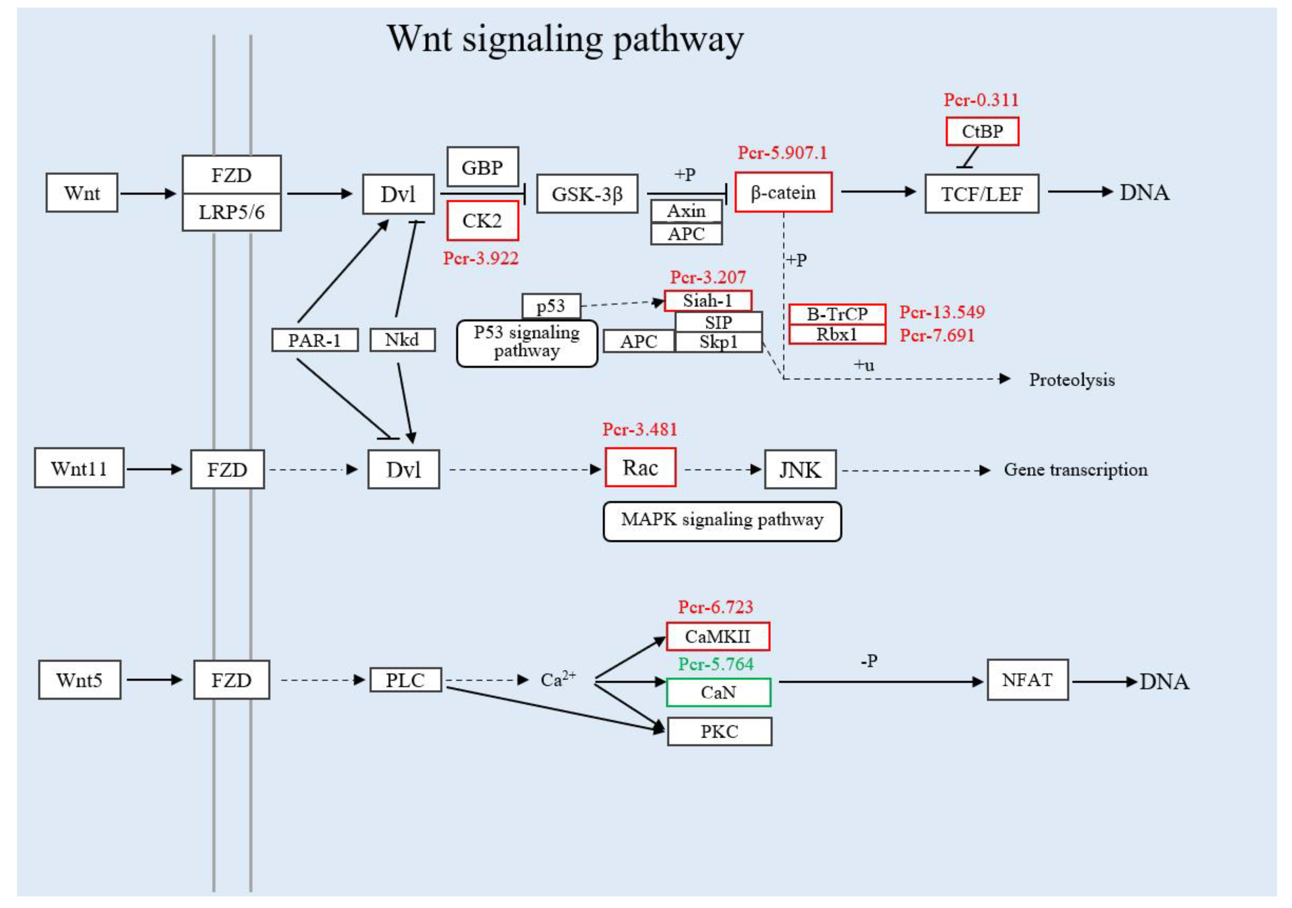 Insects 13 00294 g006