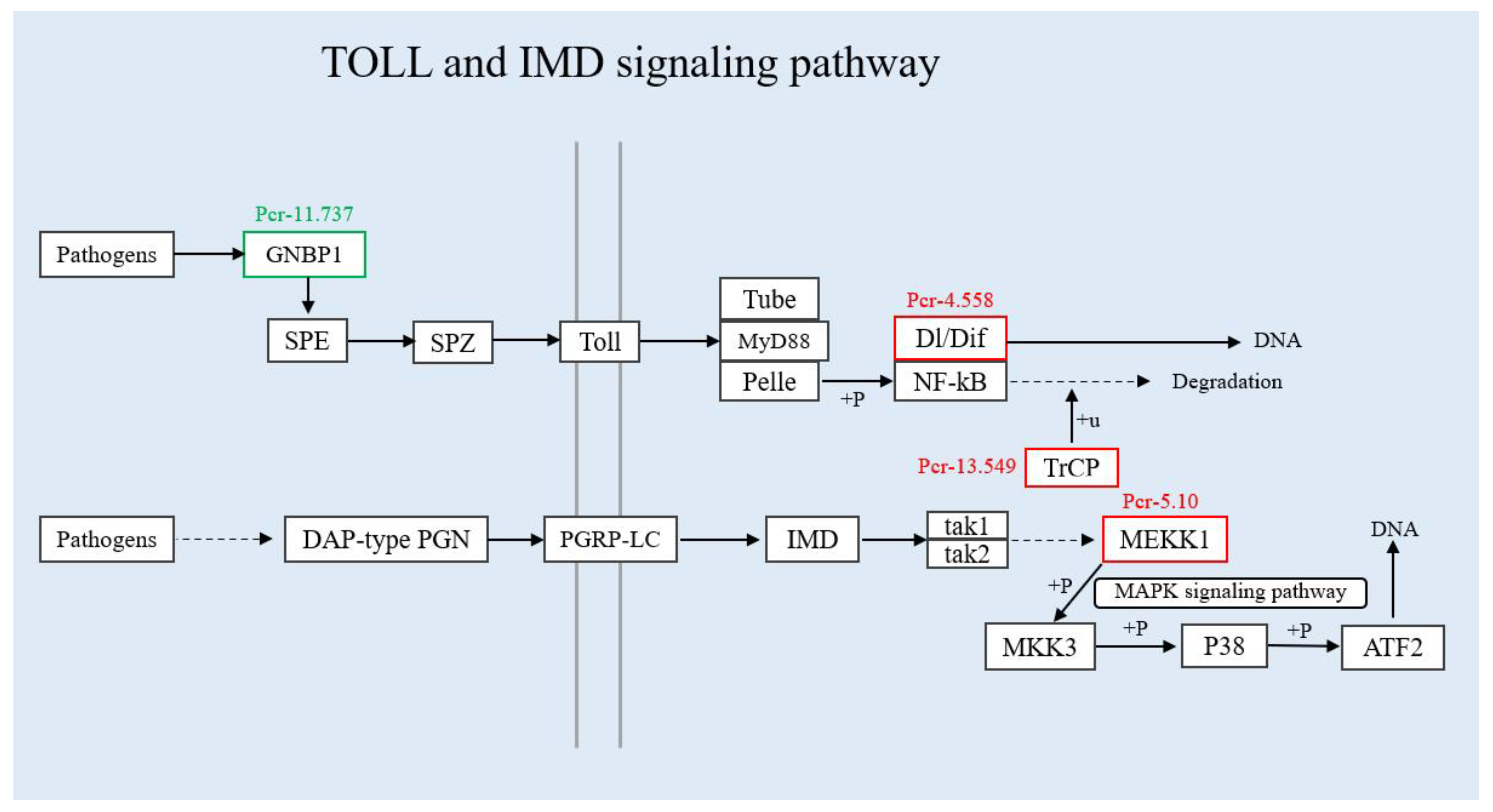 Insects 13 00294 g008