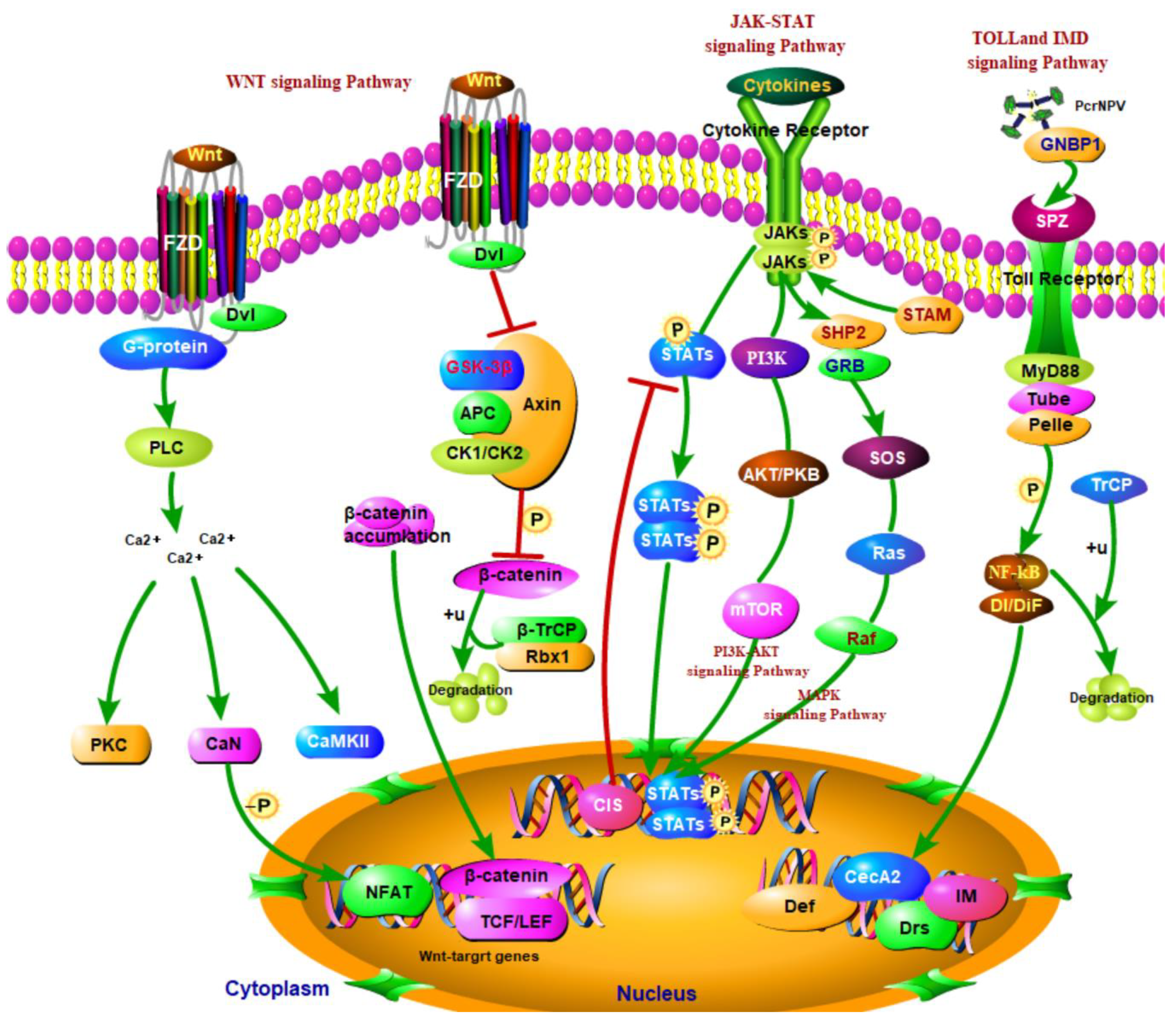 Insects 13 00294 g009