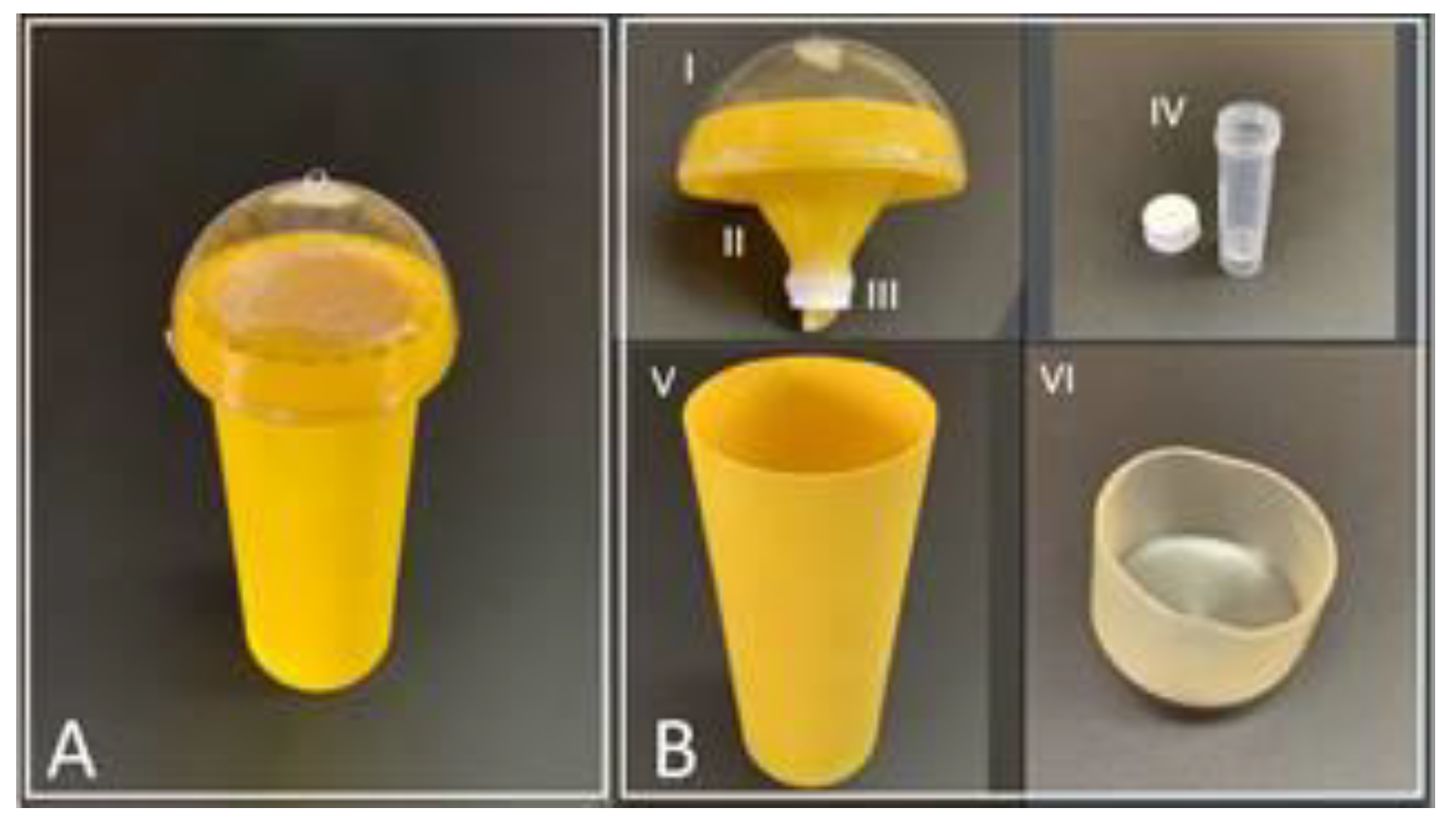 Insects 13 00295 g002