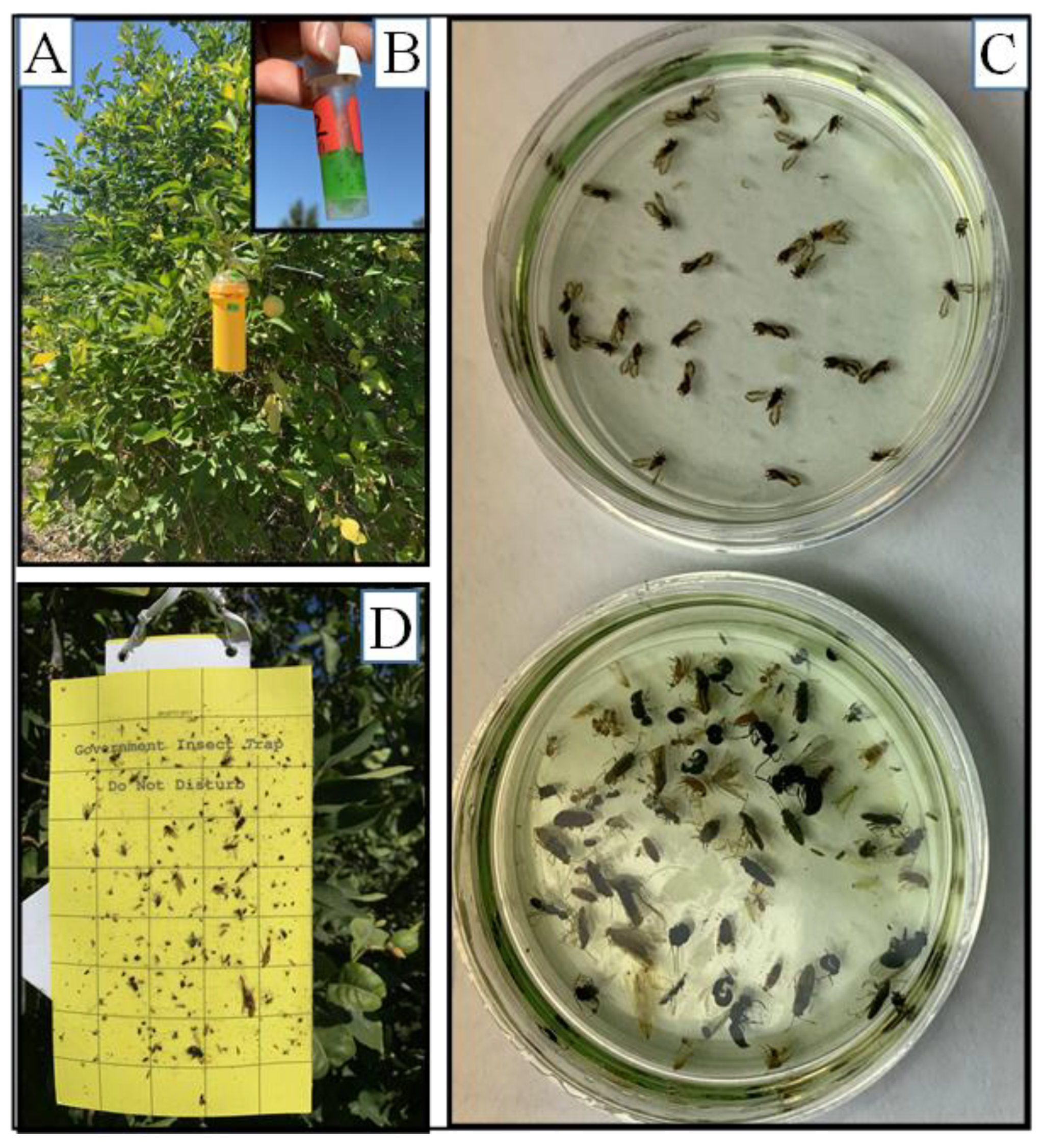 Insects 13 00295 g008