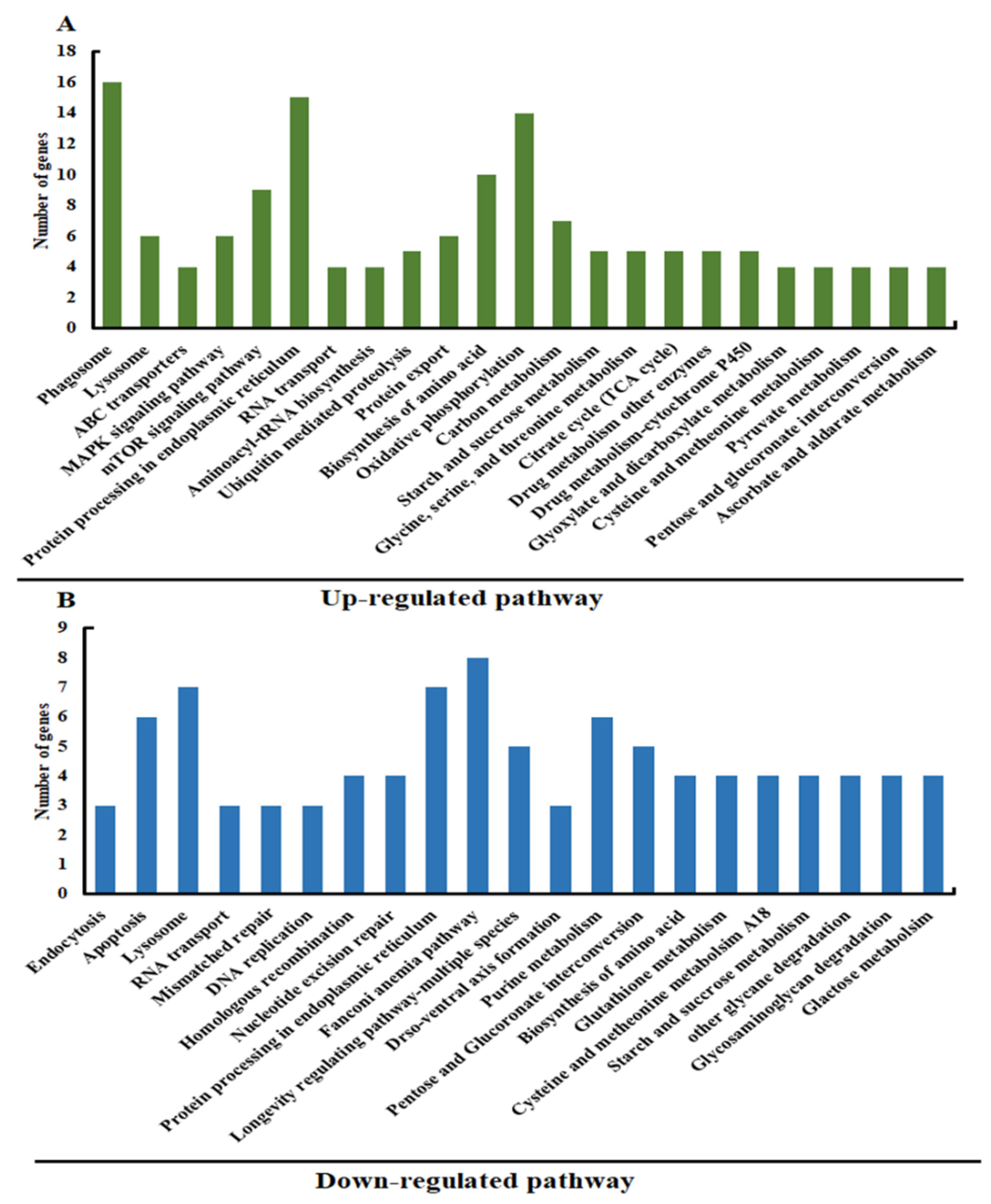 Insects 13 00296 g004