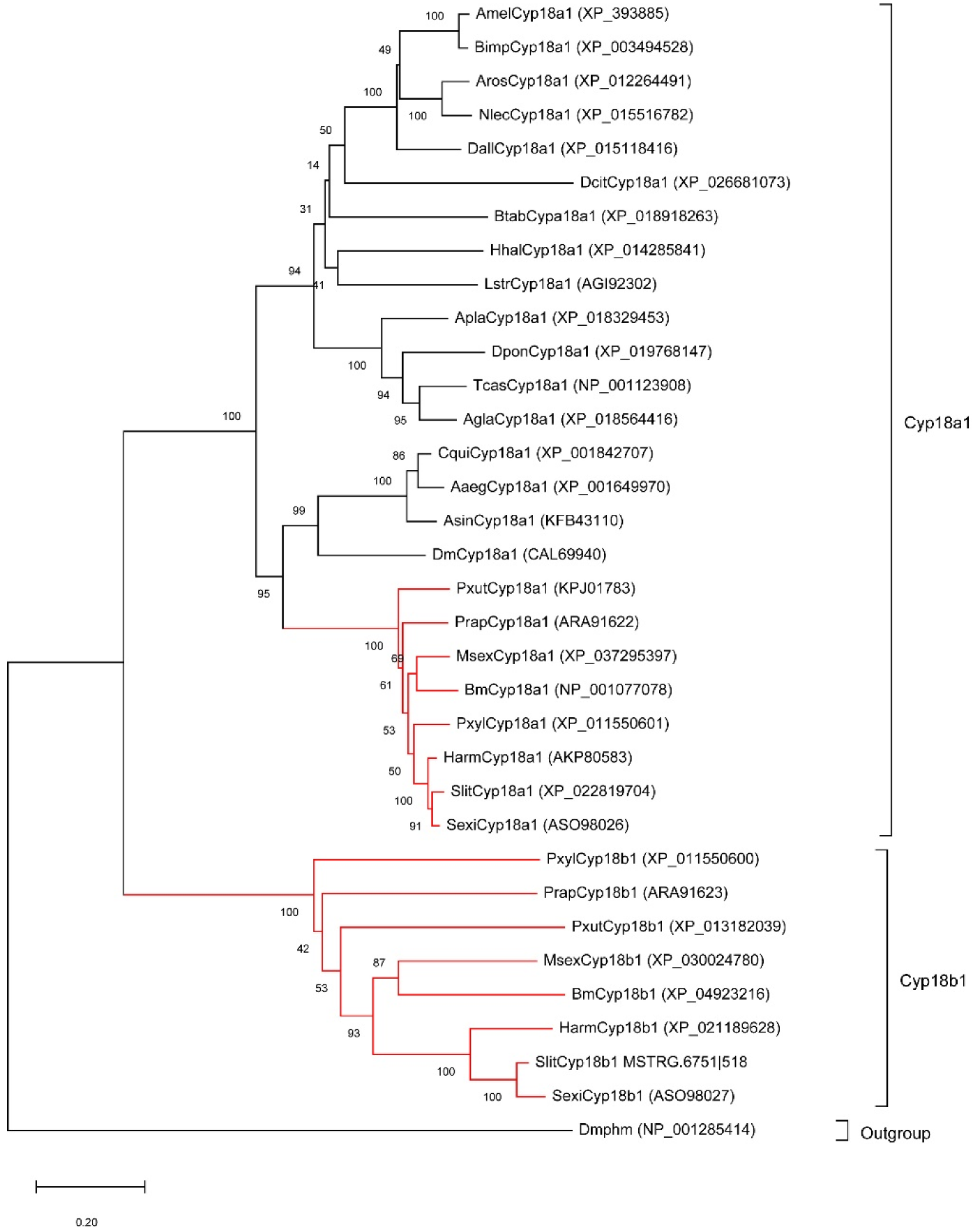 Insects 13 00297 g003
