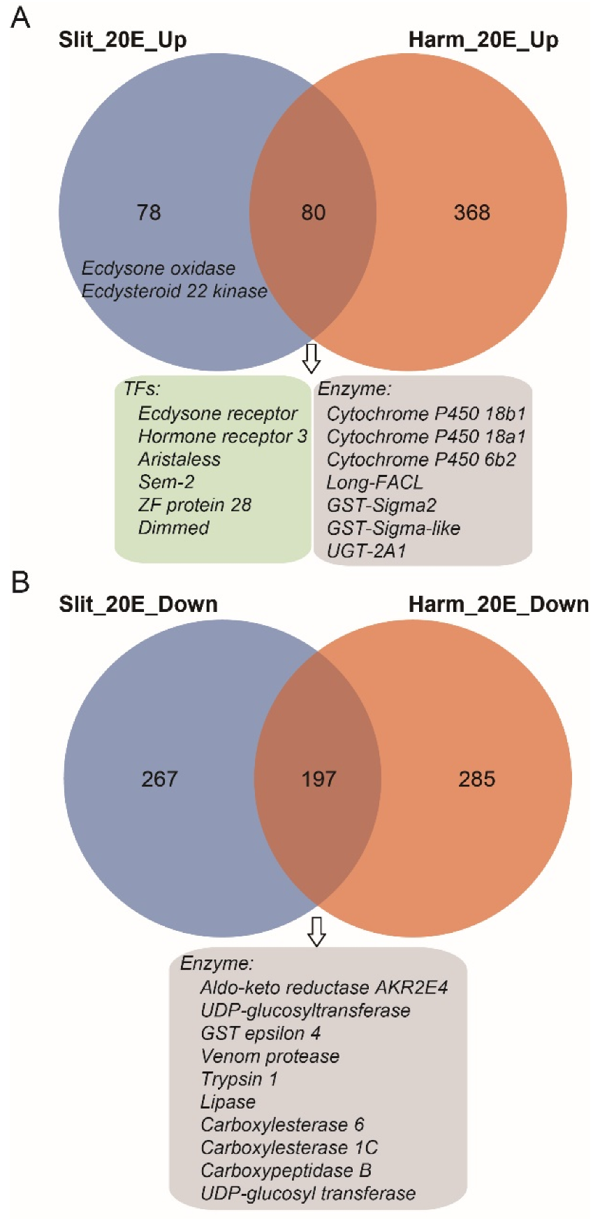 Insects 13 00297 g005