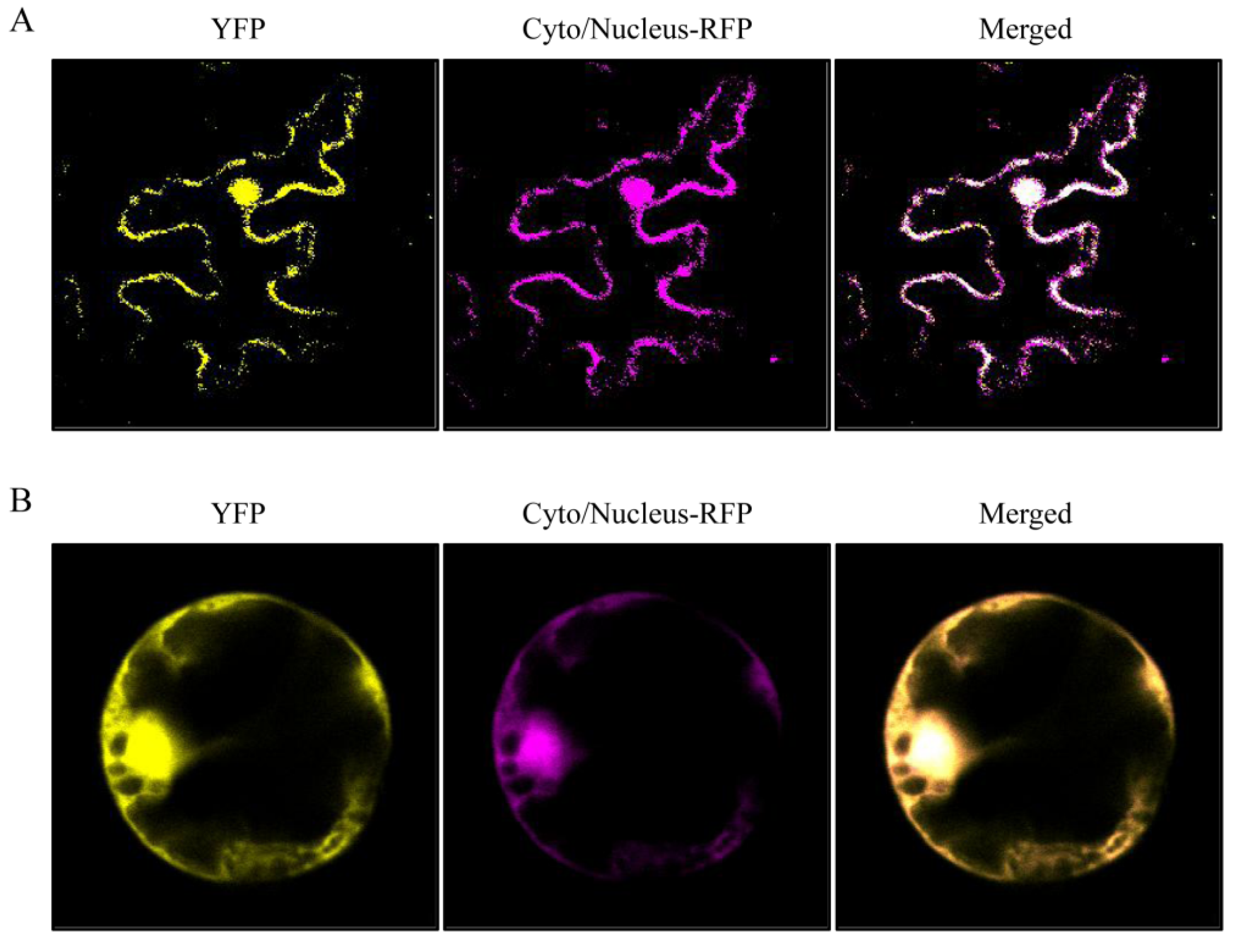 Insects 13 00299 g003