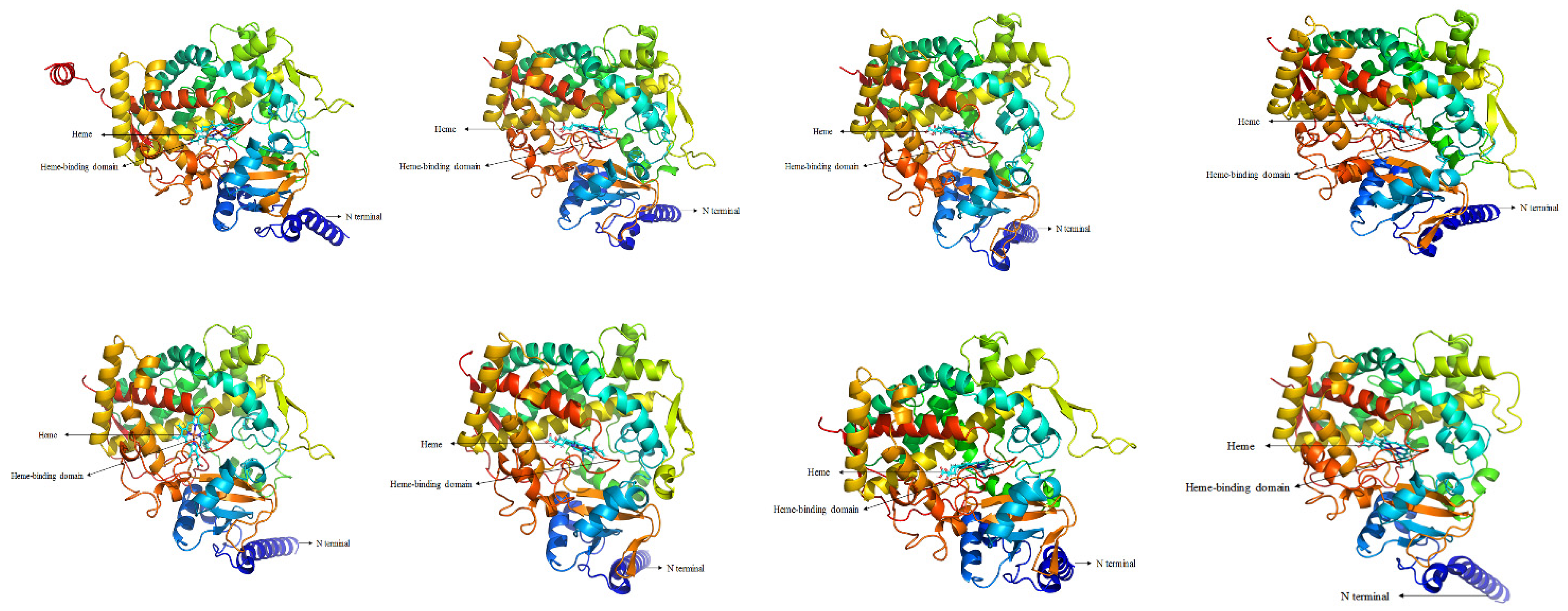 Insects 13 00300 g001