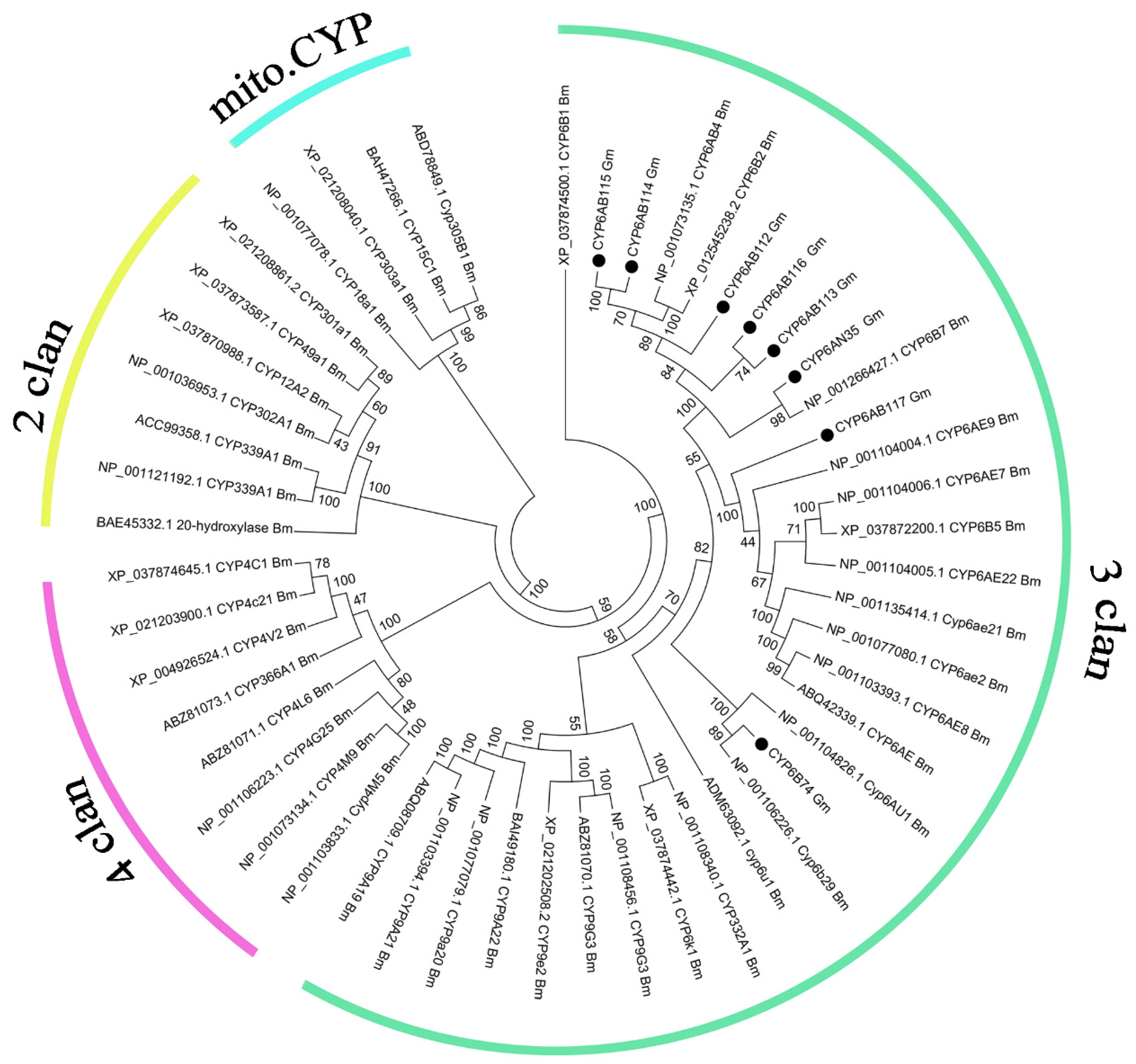 Insects 13 00300 g002