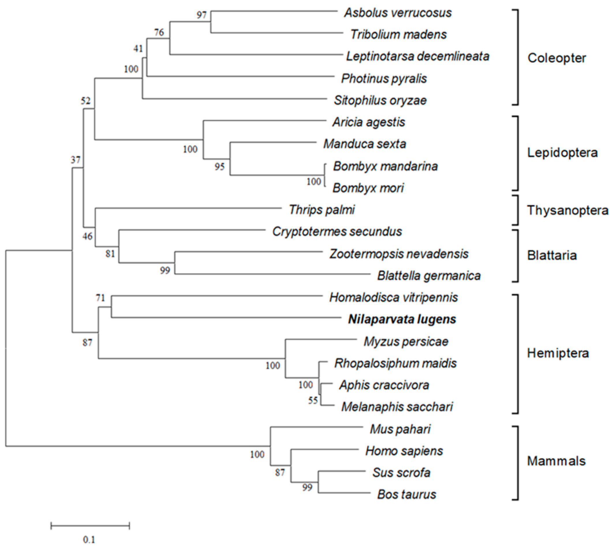 Insects 13 00303 g002