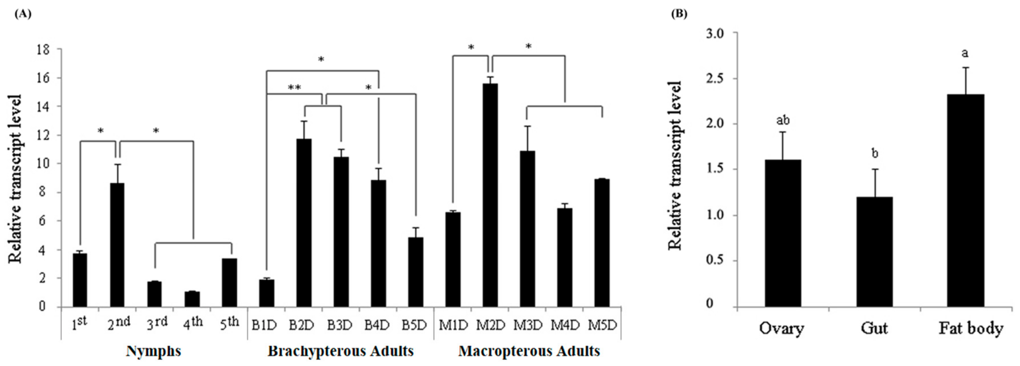 Insects 13 00303 g003
