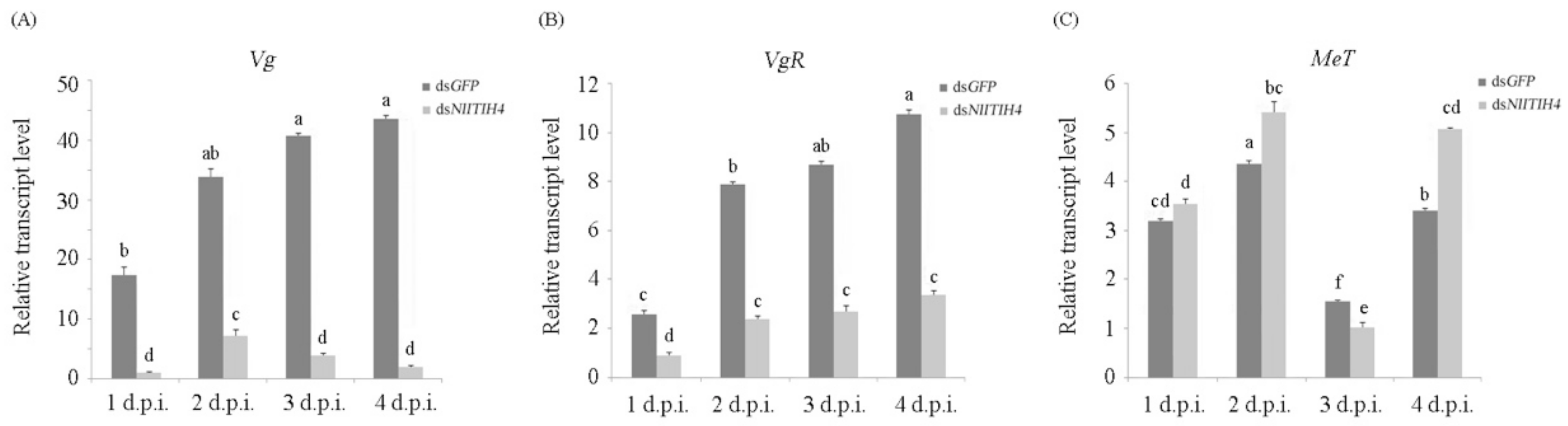 Insects 13 00303 g006