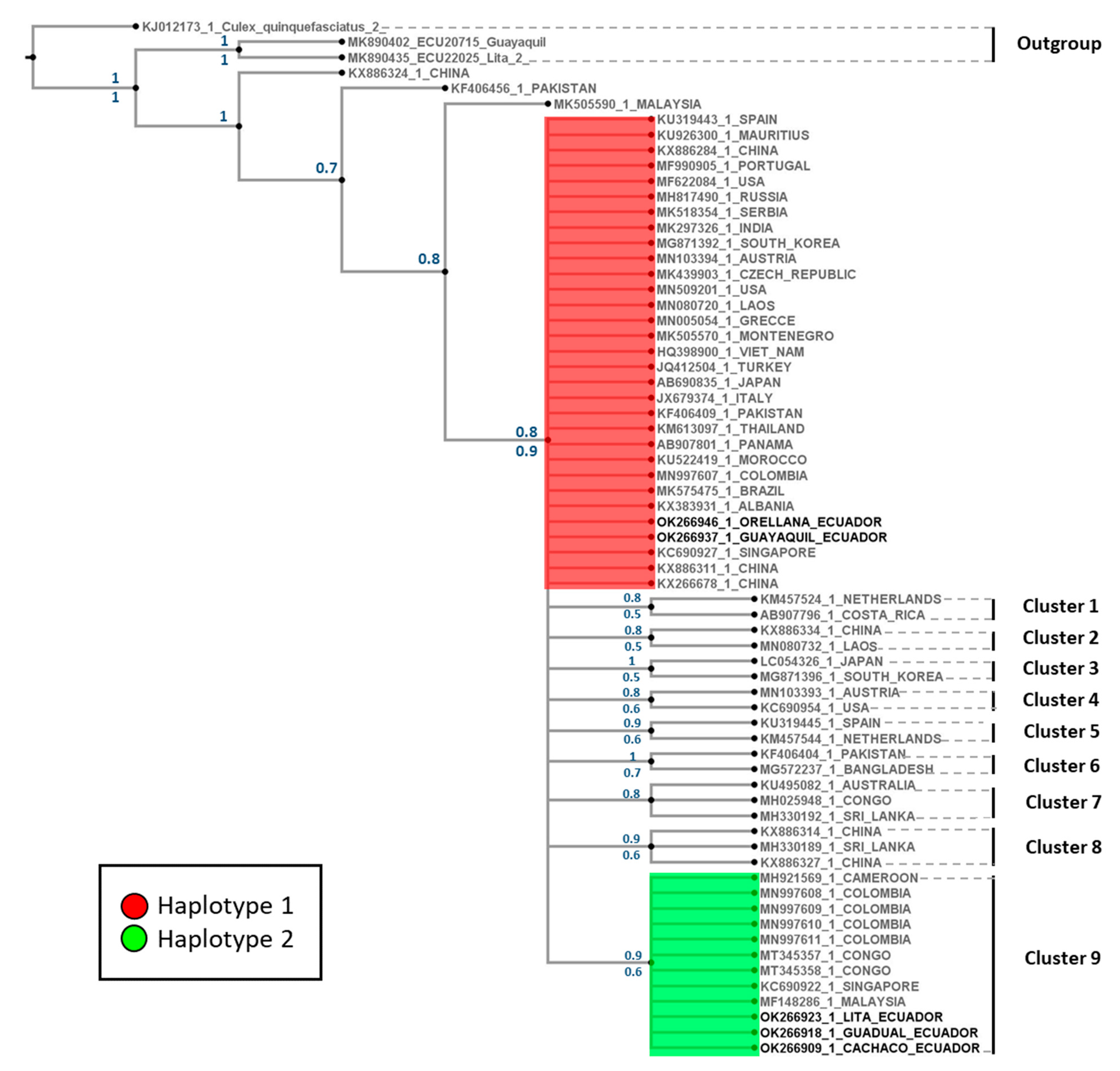 Insects 13 00305 g004