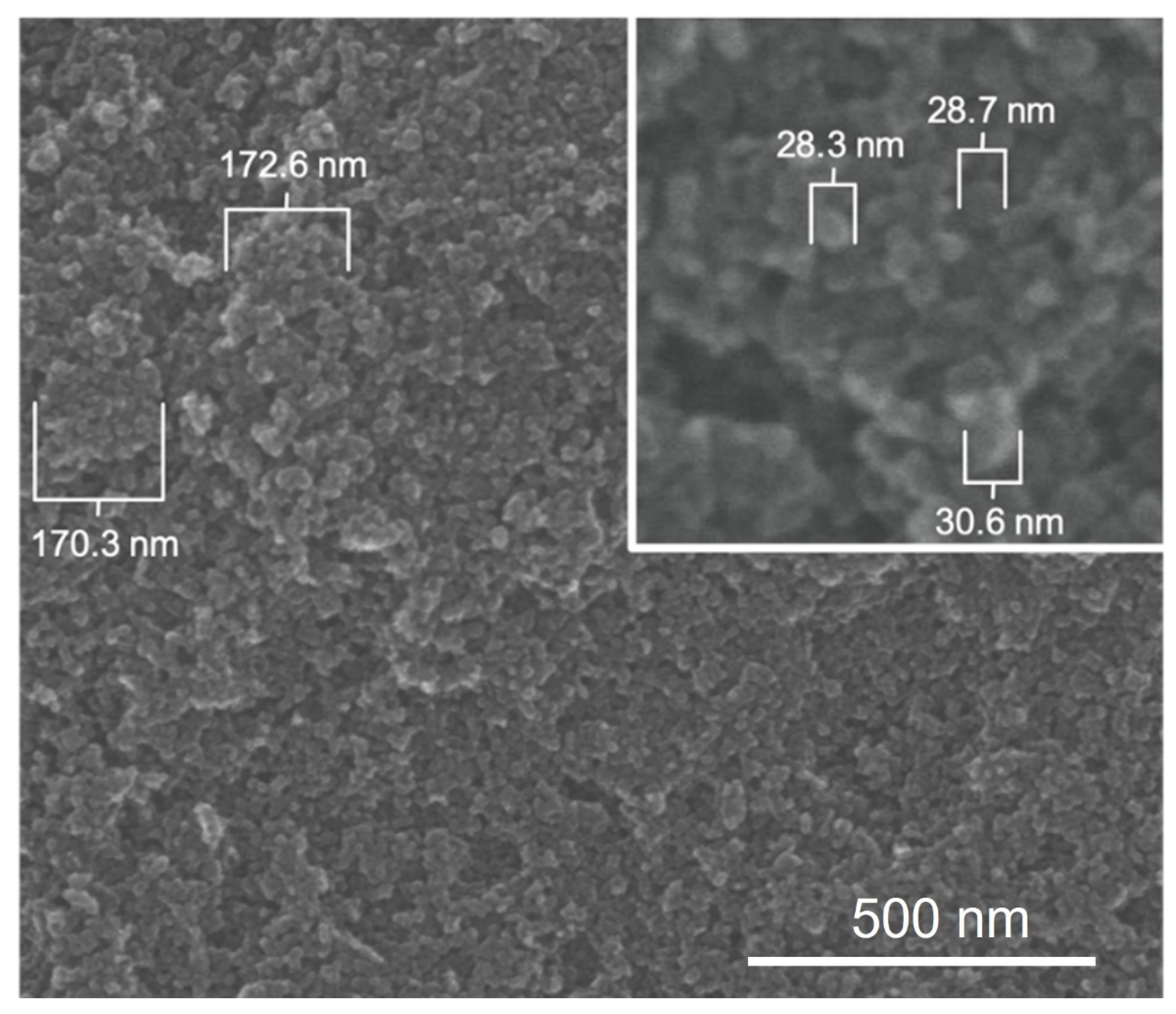 Insects 13 00307 g005