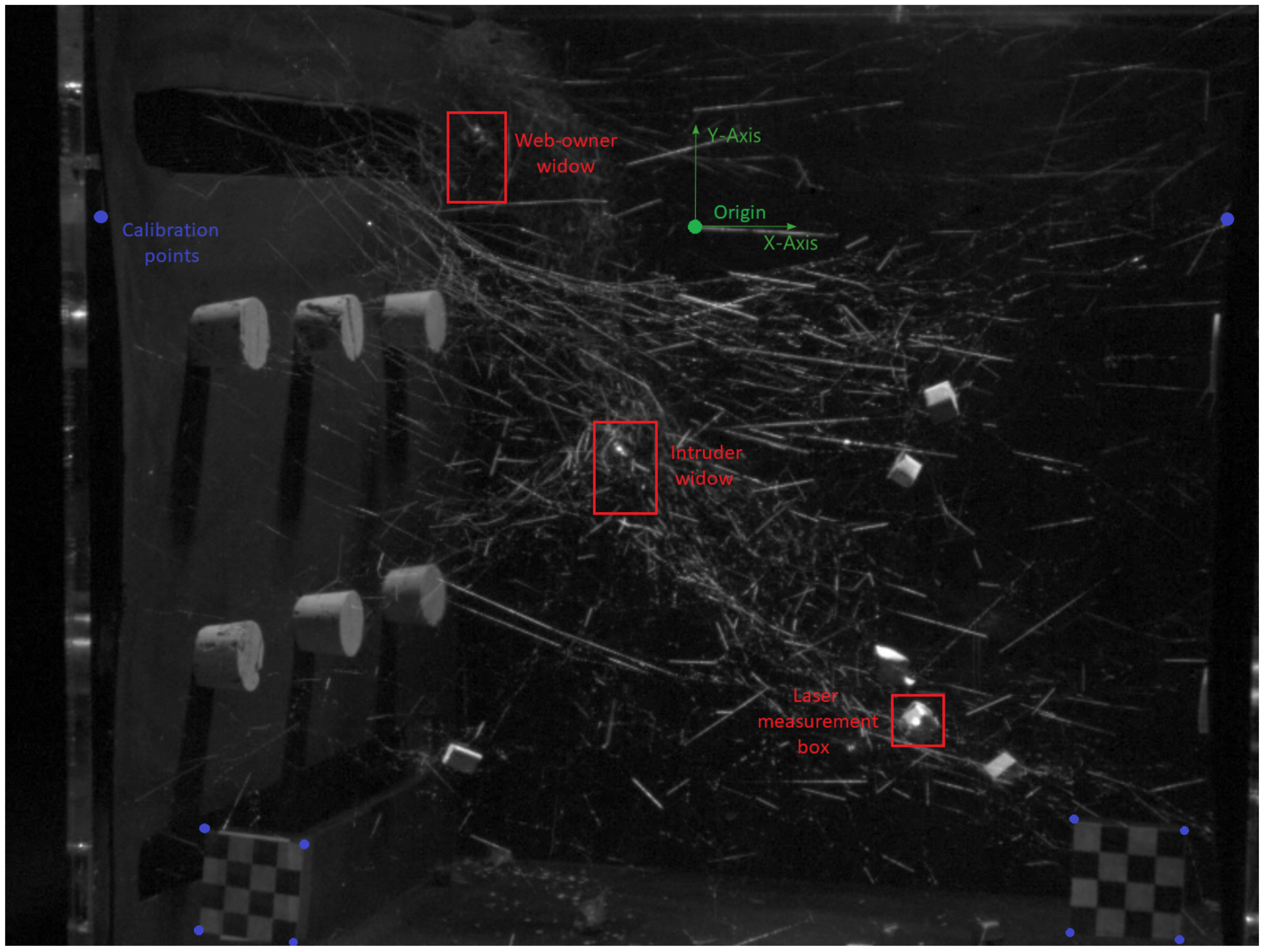 Insects 13 00310 g002