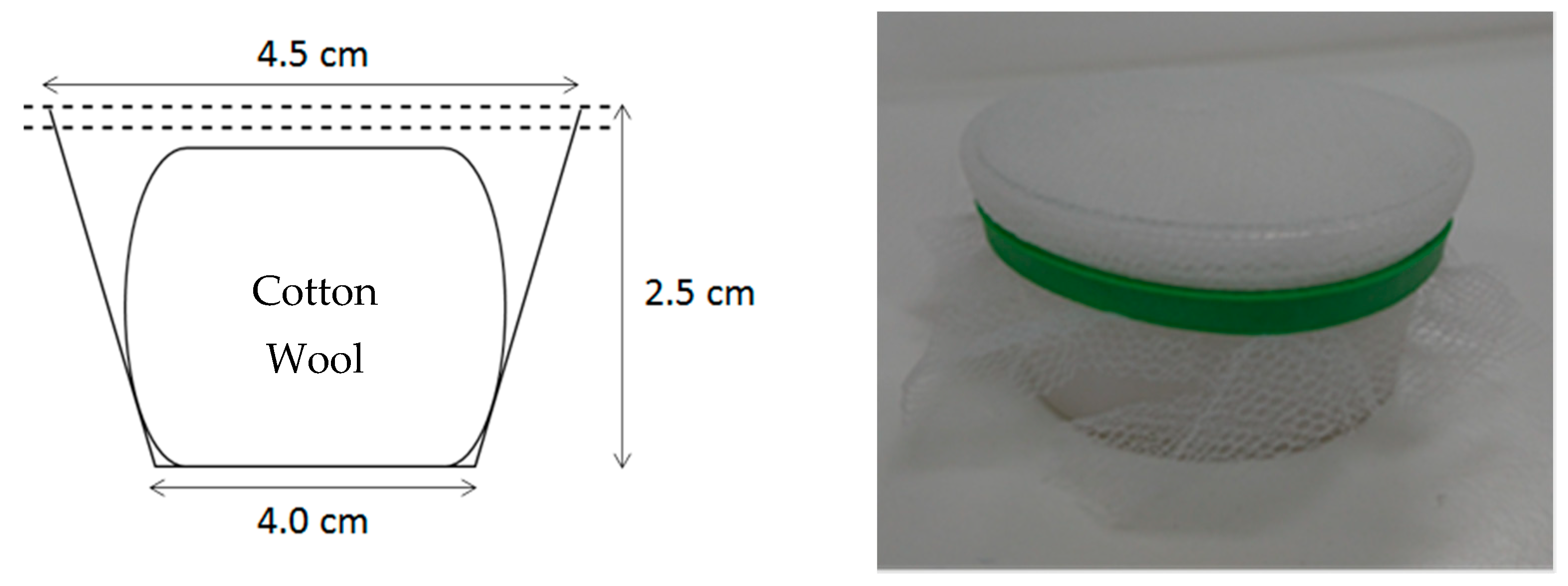 Insects 13 00311 g001