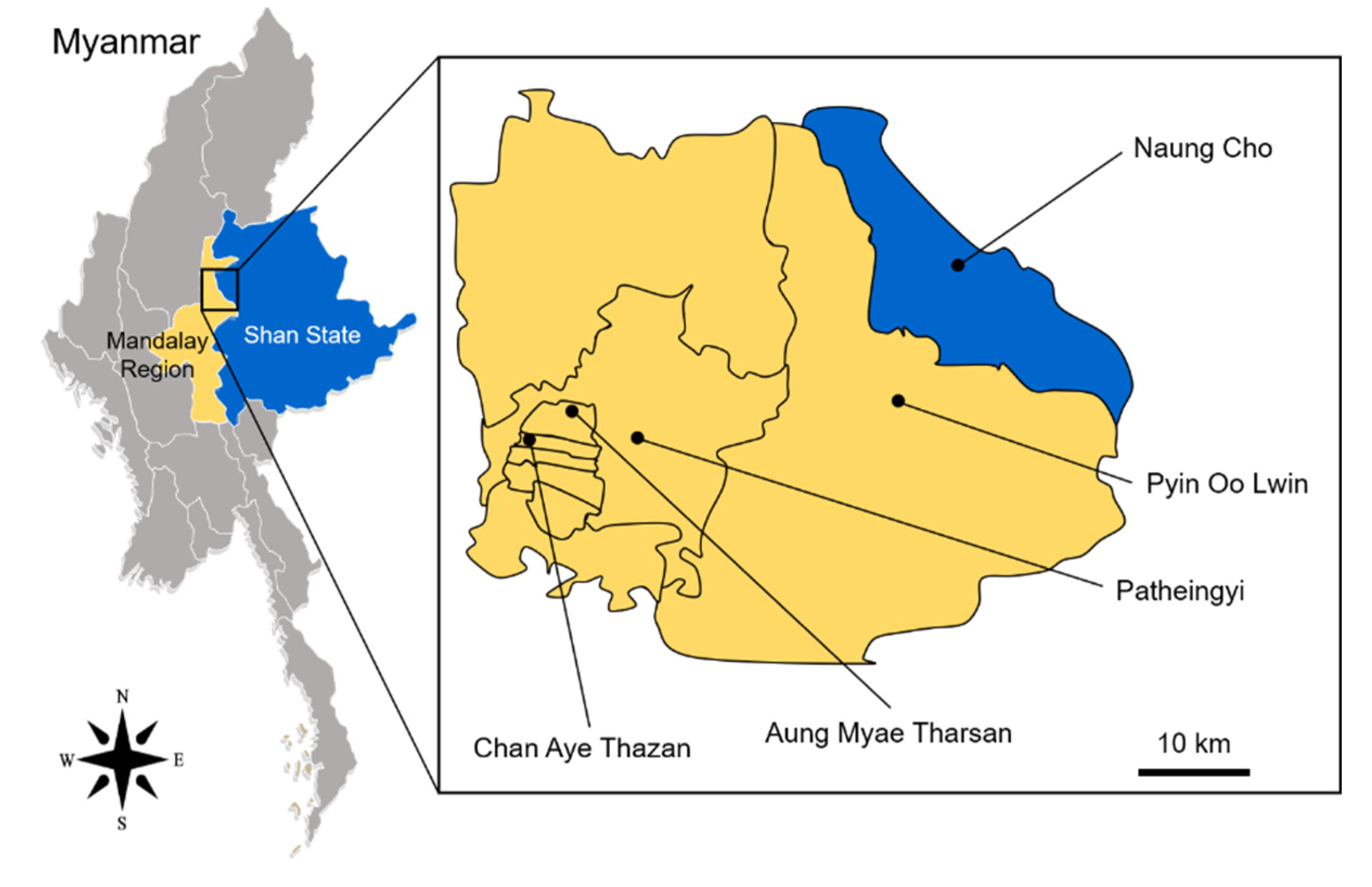 Insects 13 00322 g001