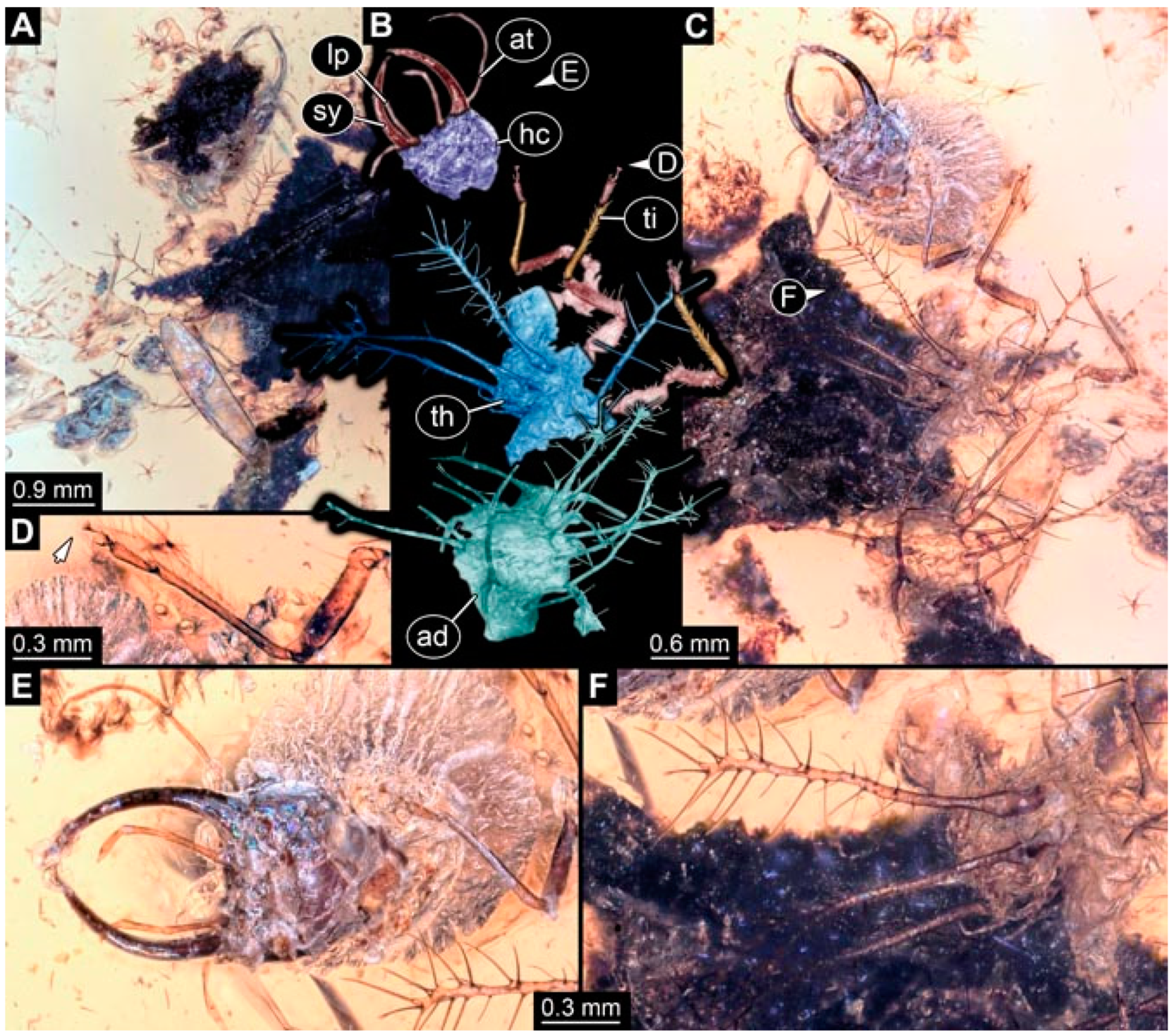 Insects 13 00336 g004