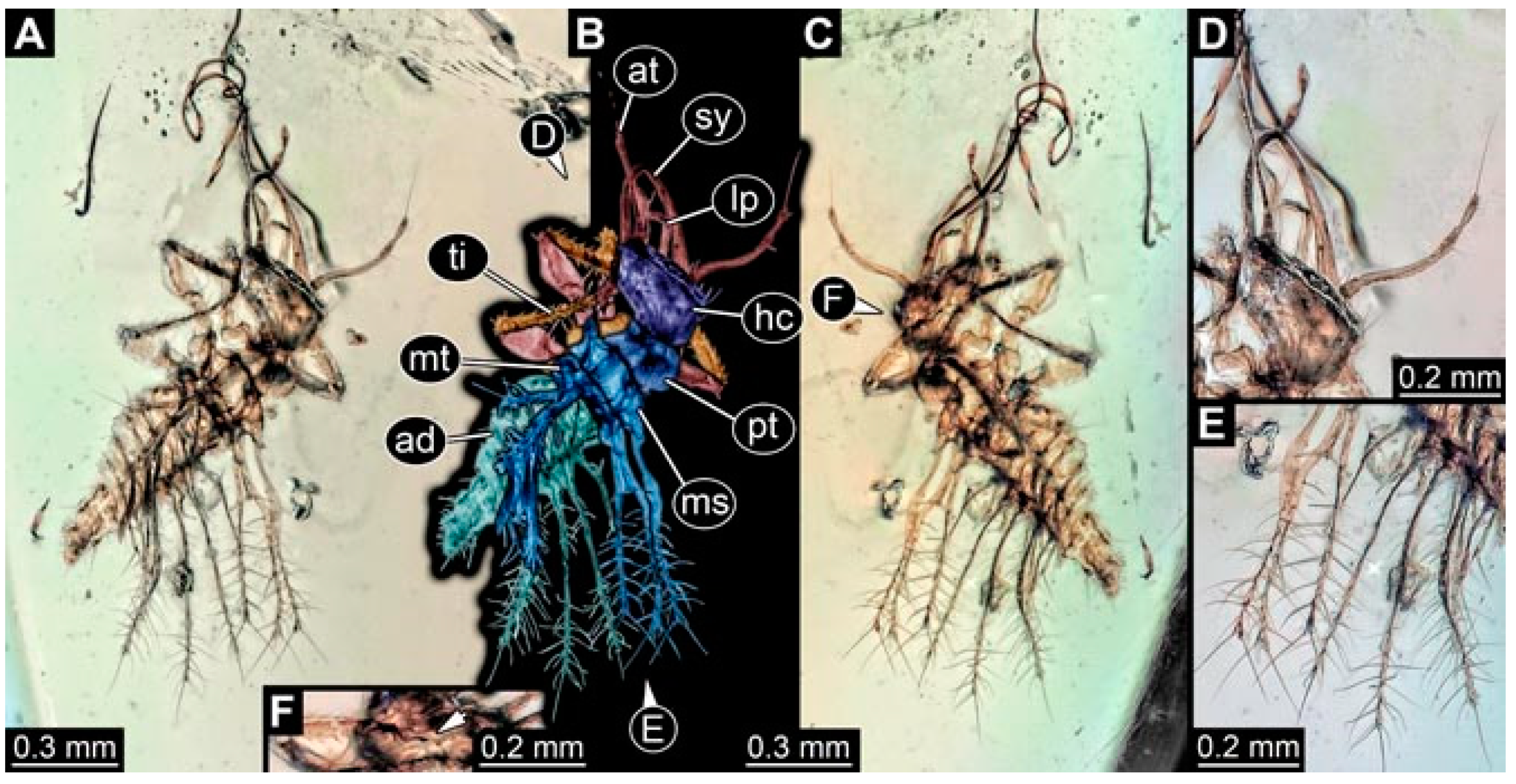 Insects 13 00336 g005