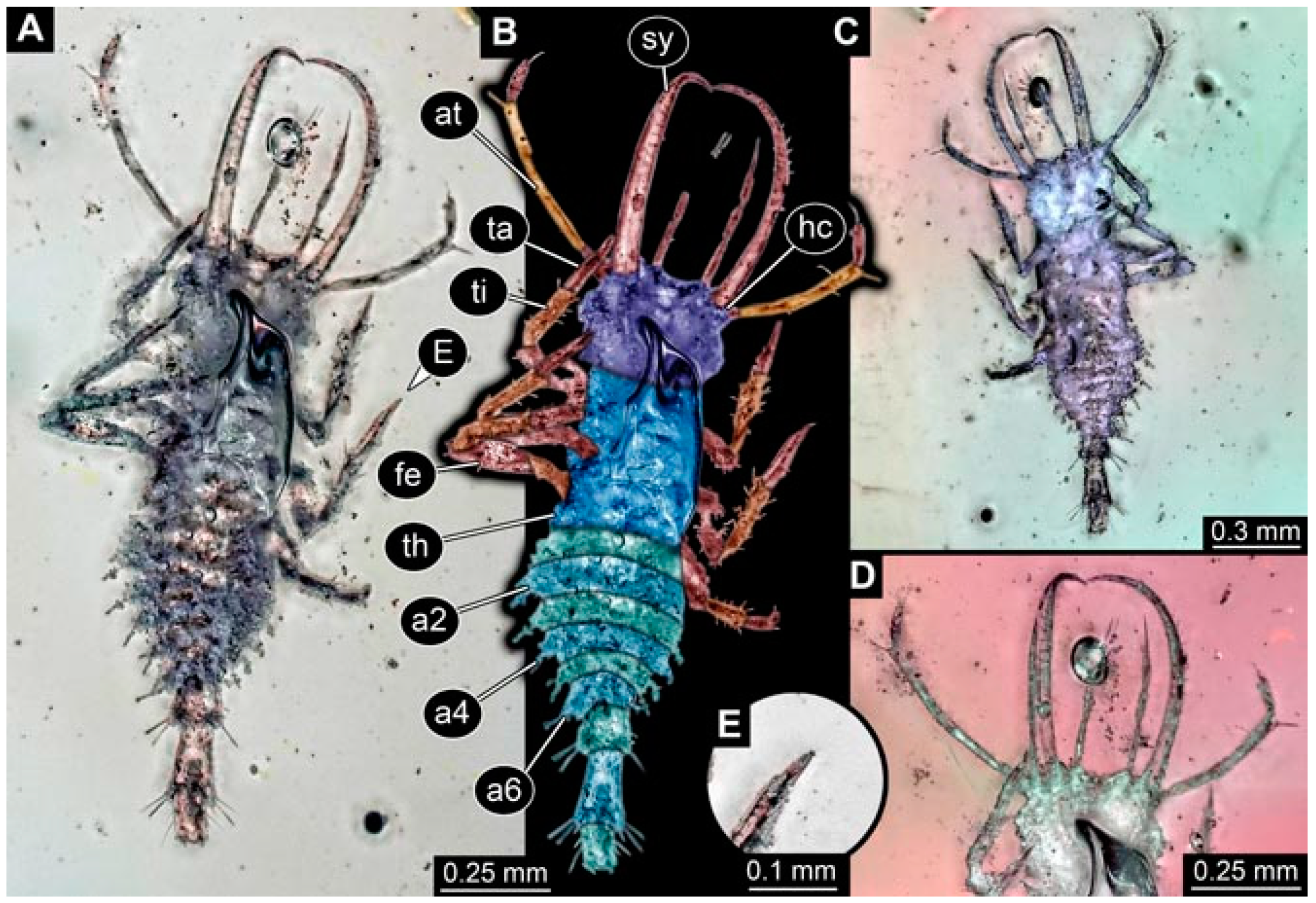 Insects 13 00336 g007