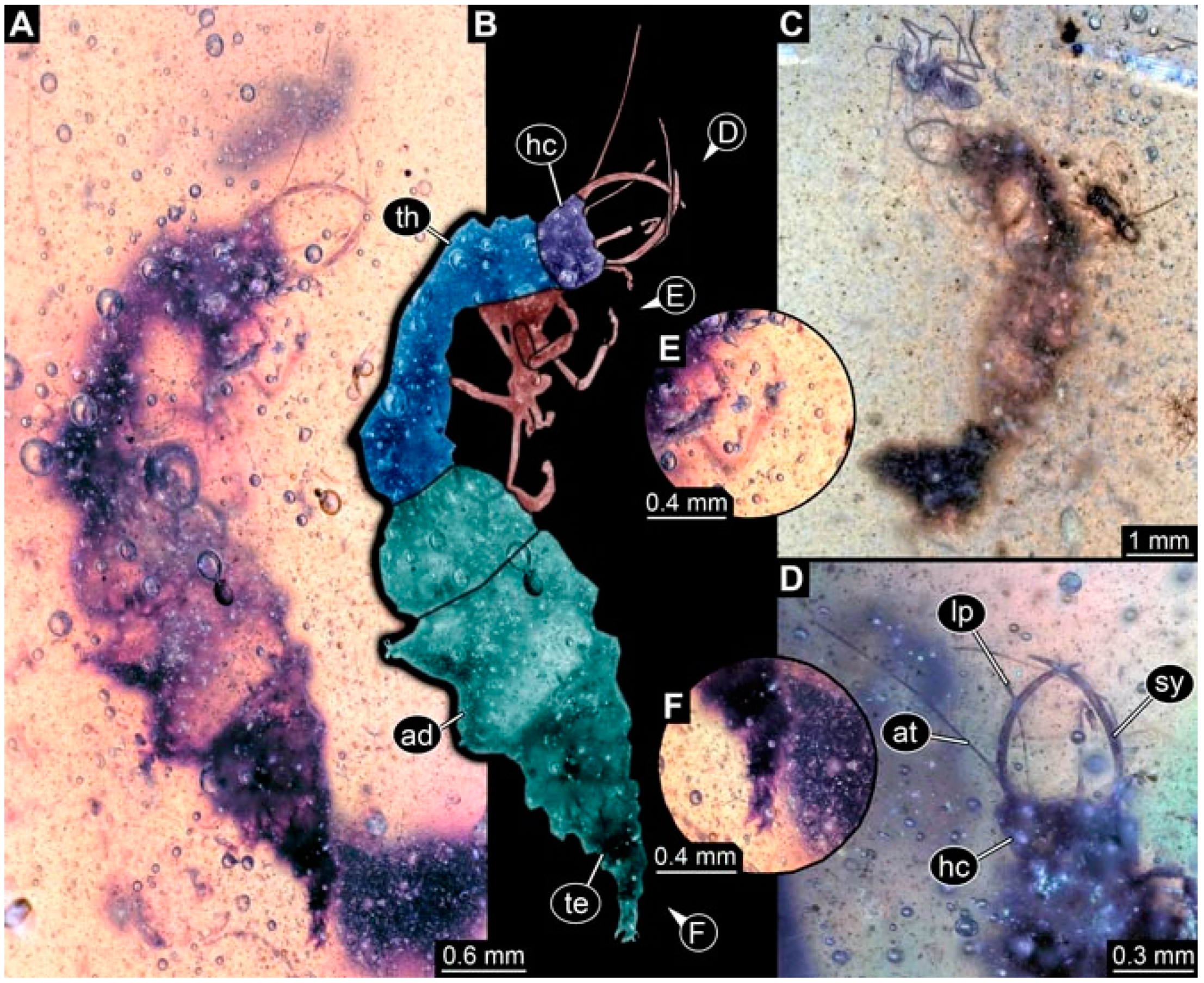 Insects 13 00336 g008