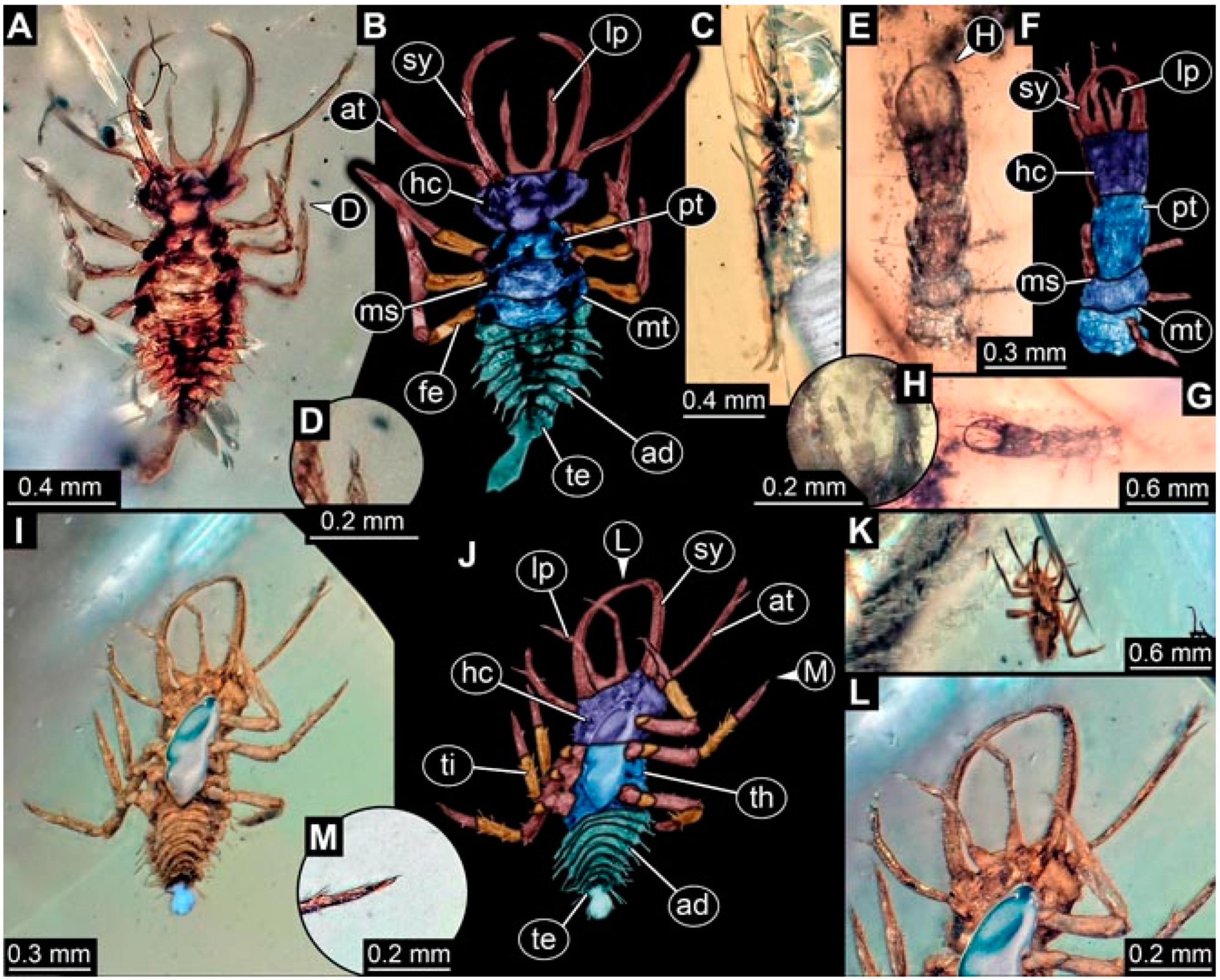 Insects 13 00336 g009