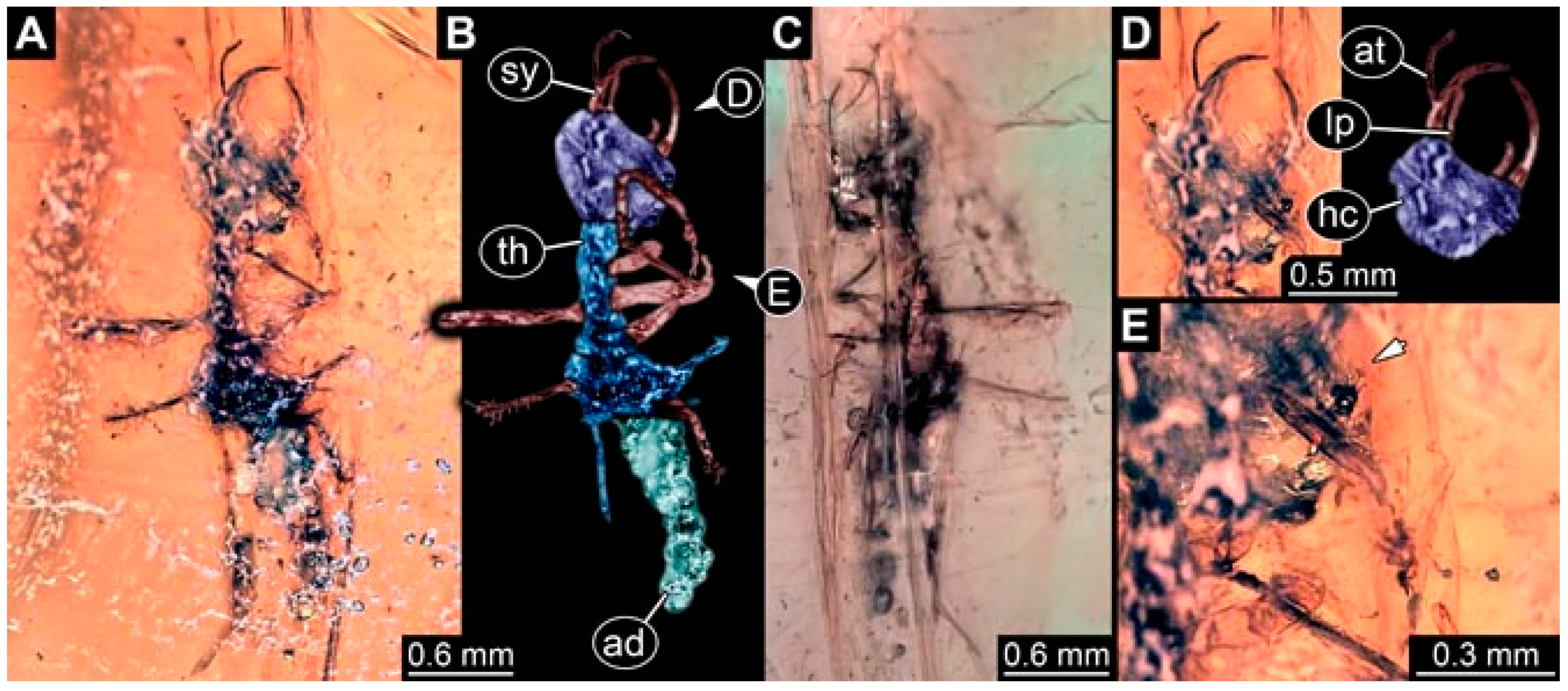 Insects 13 00336 g010