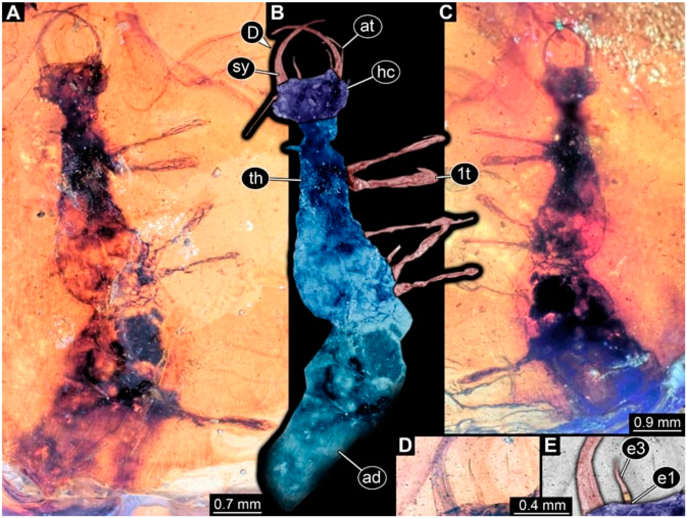 Insects 13 00336 g012
