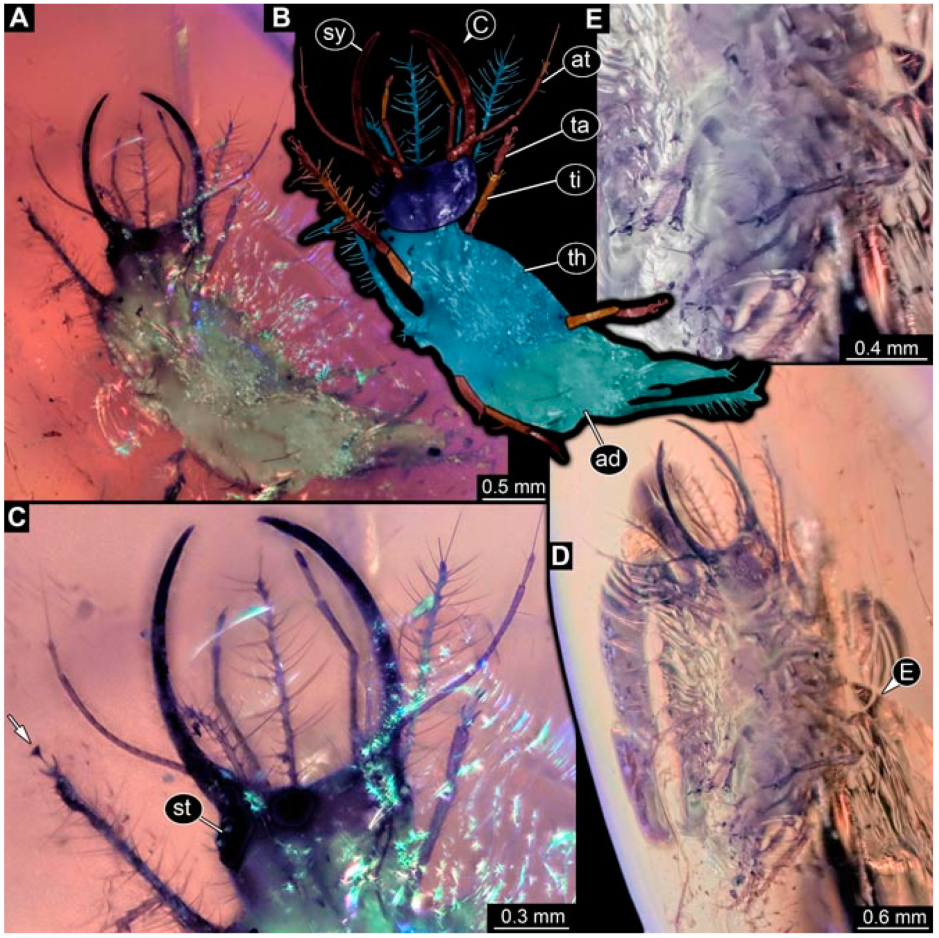 Insects 13 00336 g013