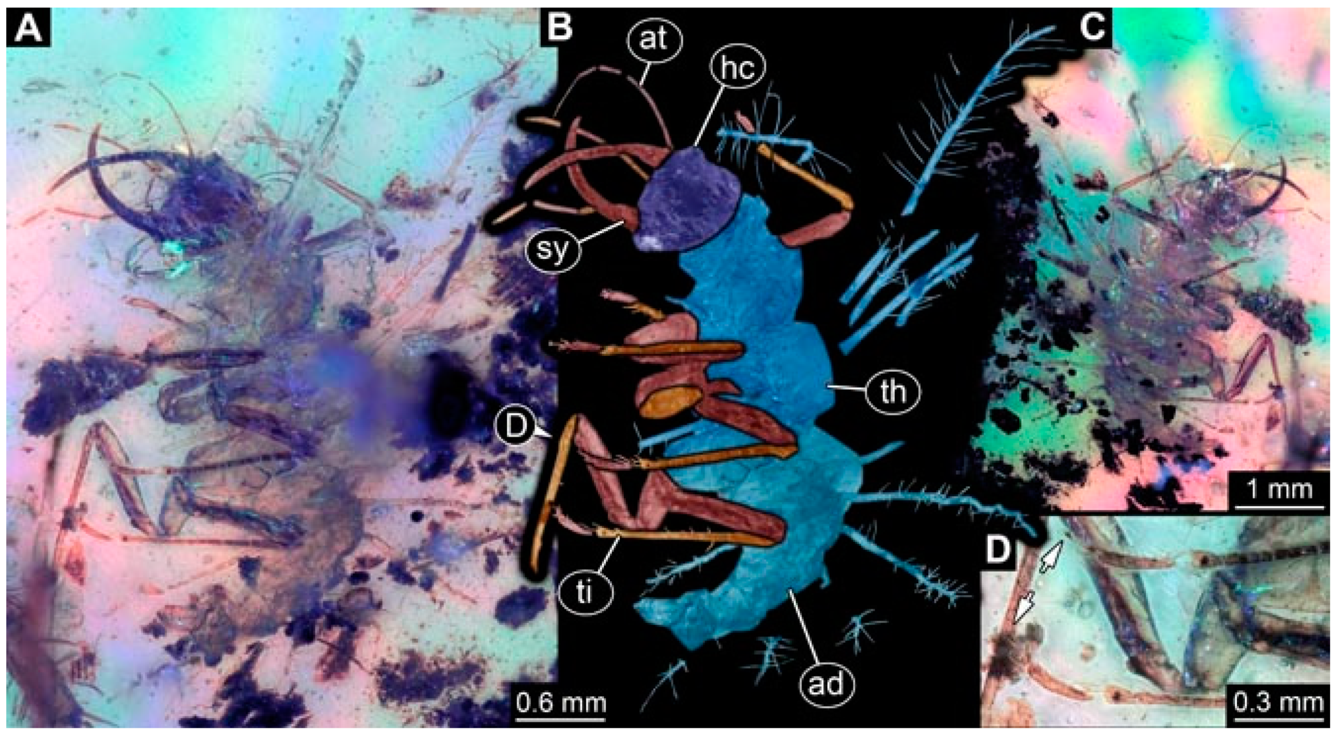 Insects 13 00336 g014