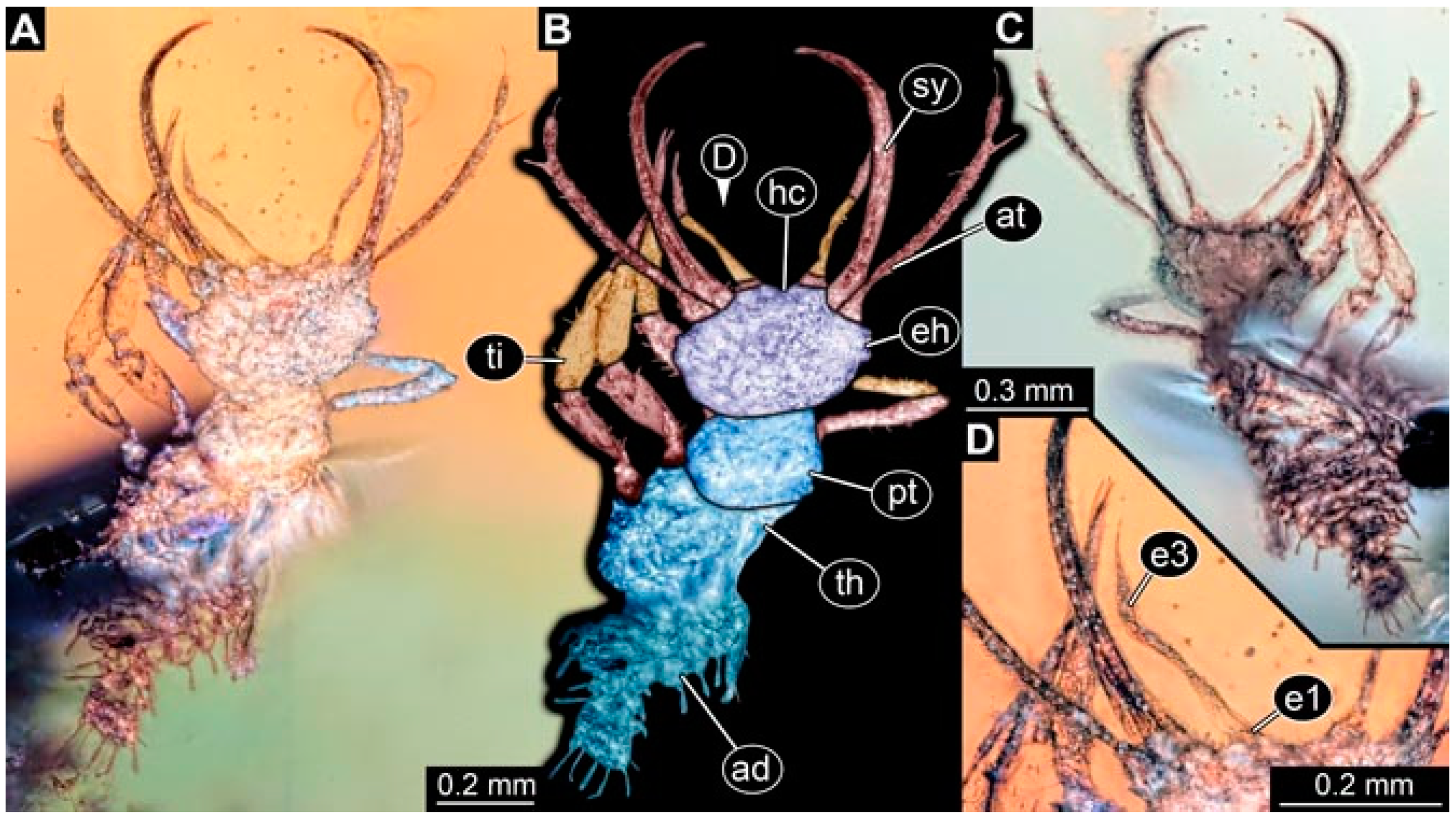 Insects 13 00336 g015