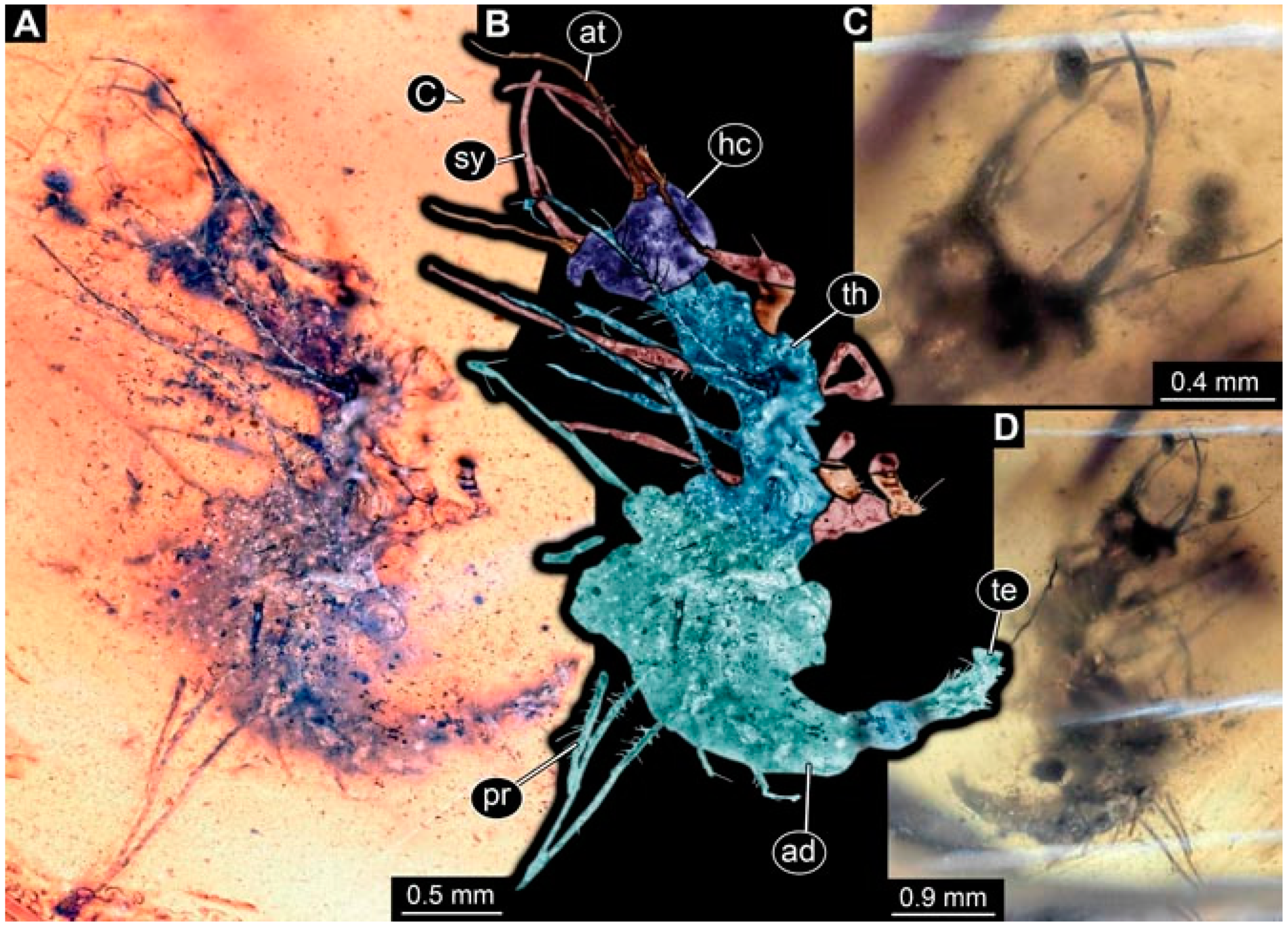 Insects 13 00336 g018