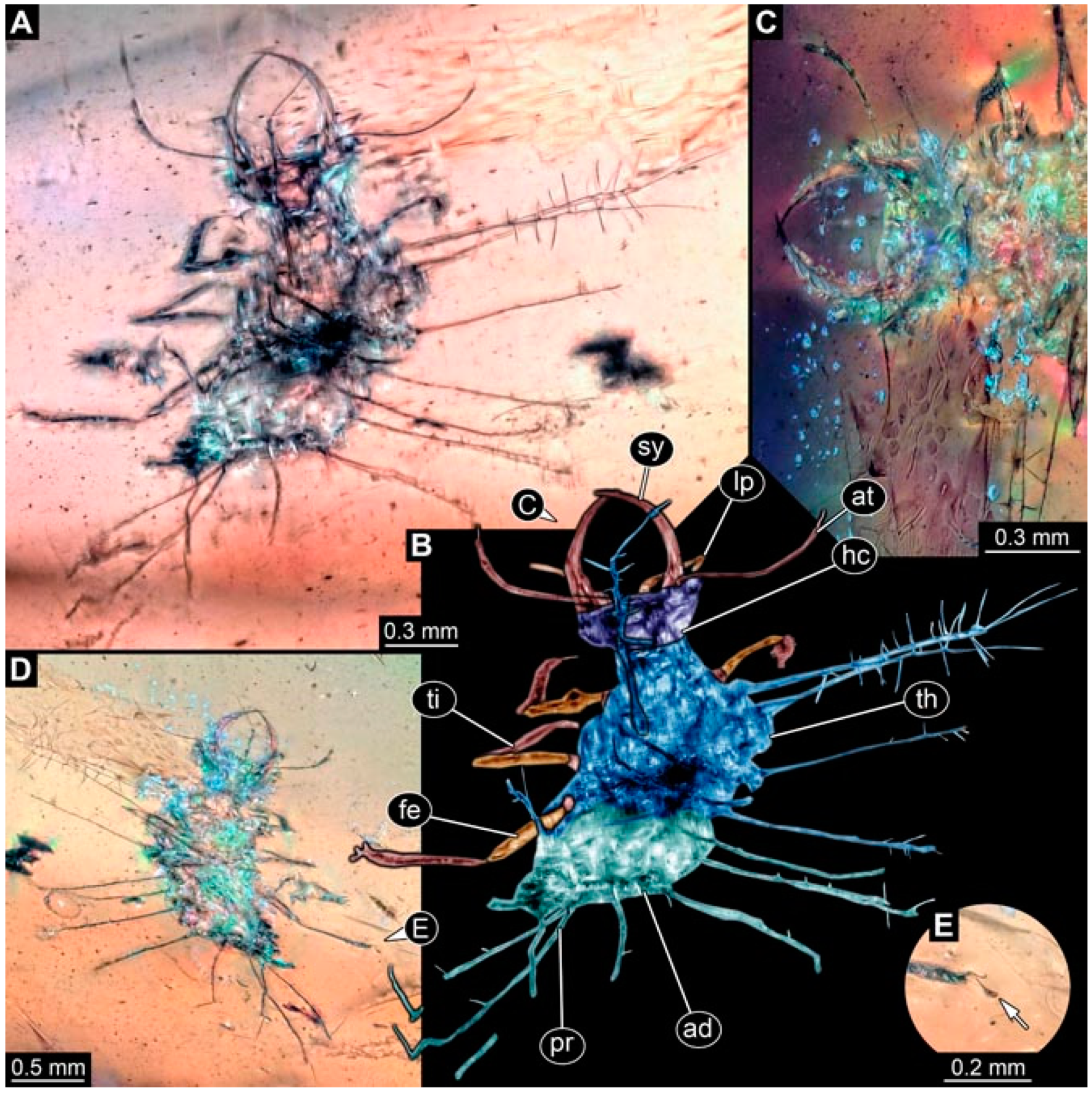 Insects 13 00336 g019