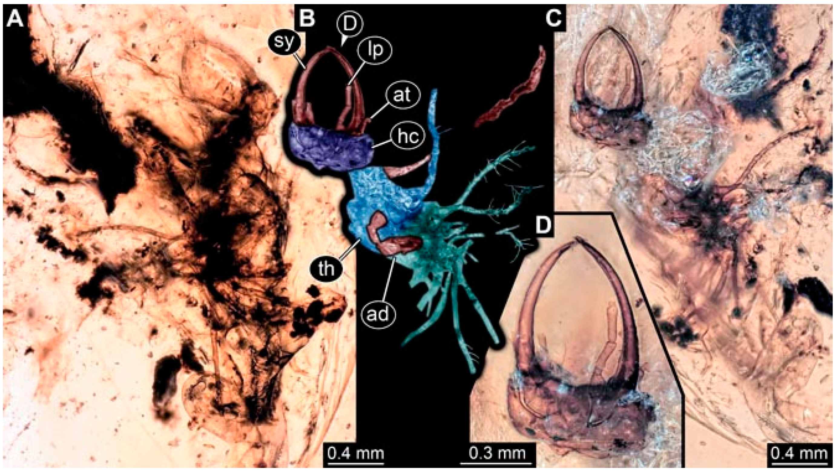 Insects 13 00336 g022