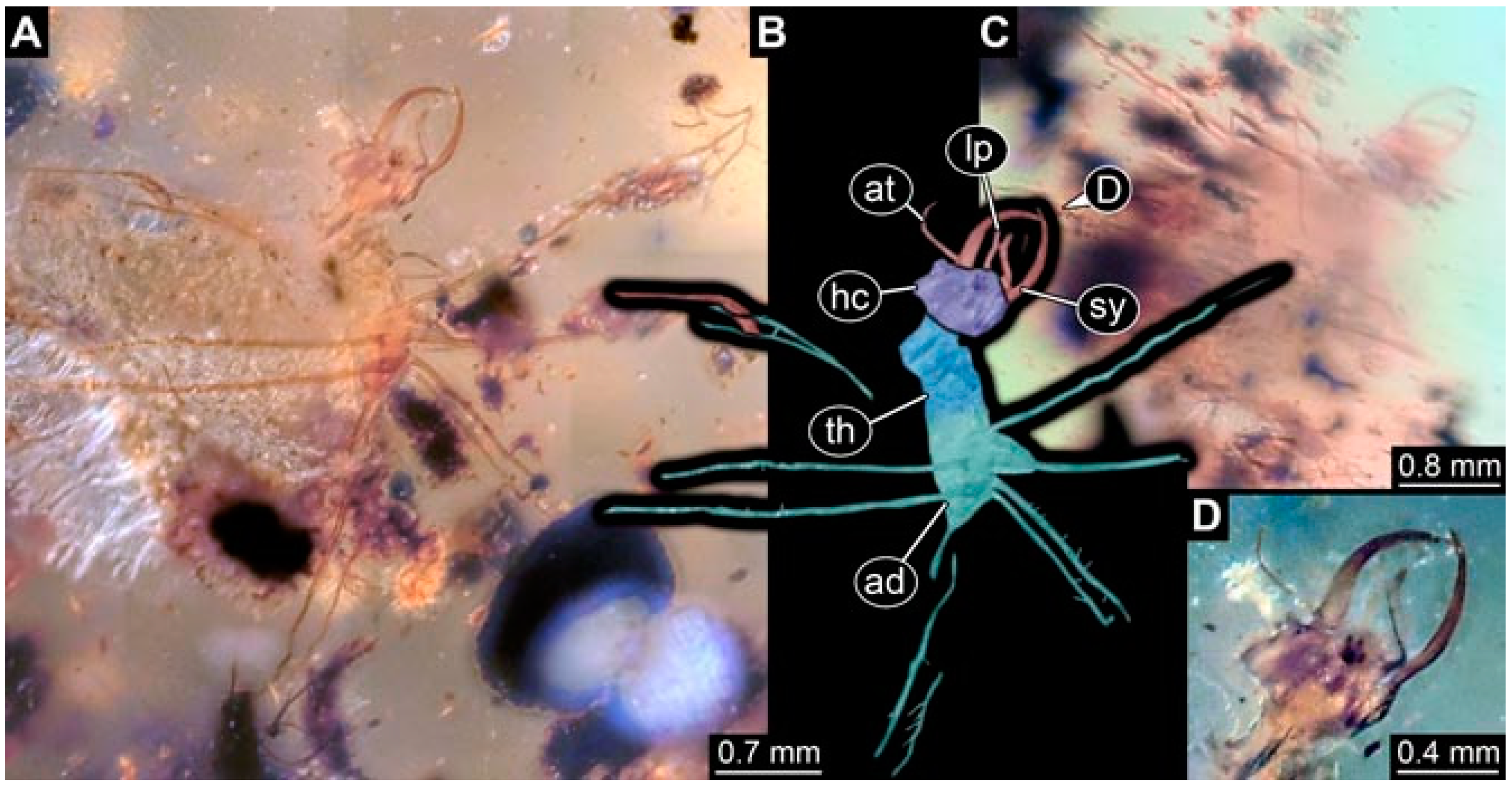 Insects 13 00336 g024