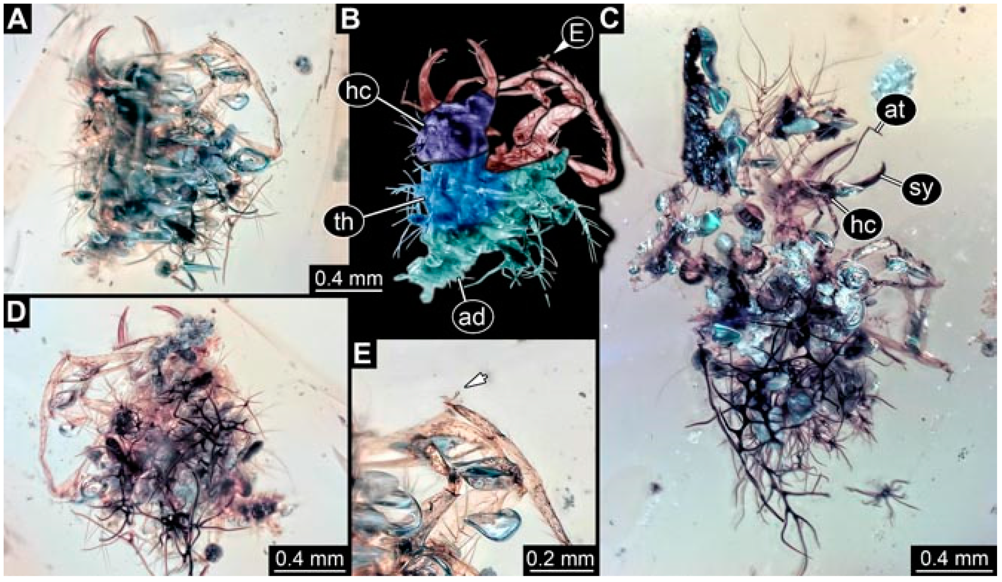 Insects 13 00336 g026
