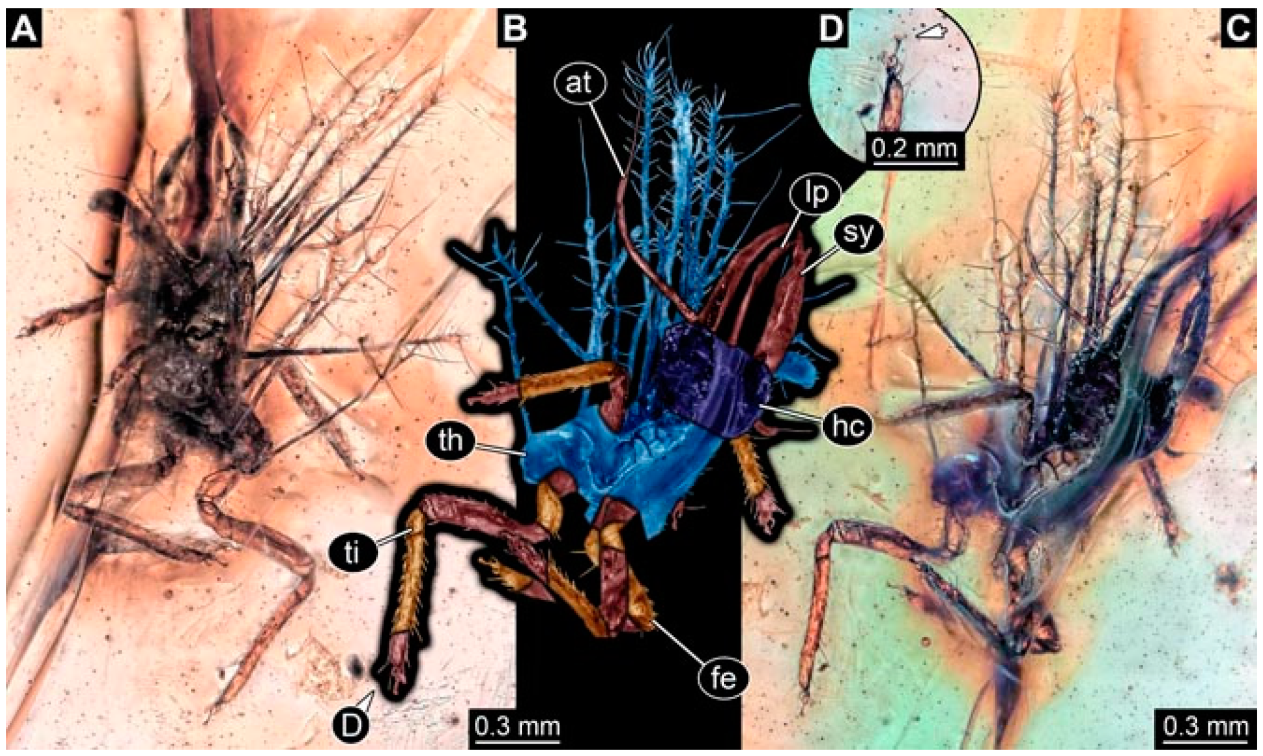 Insects 13 00336 g027