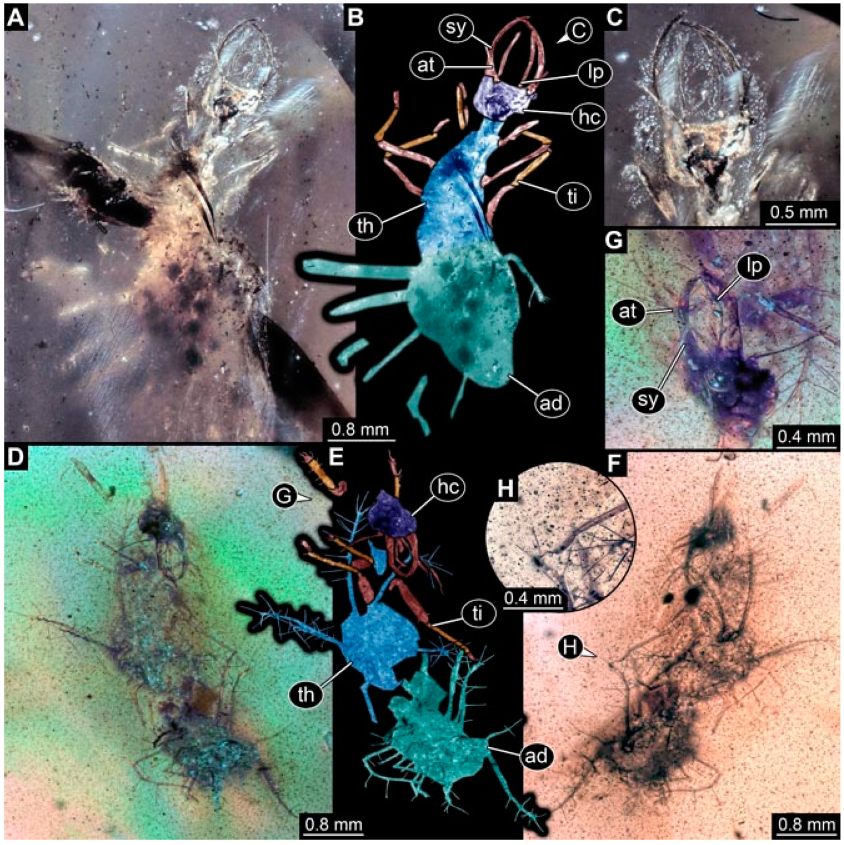 Insects 13 00336 g028