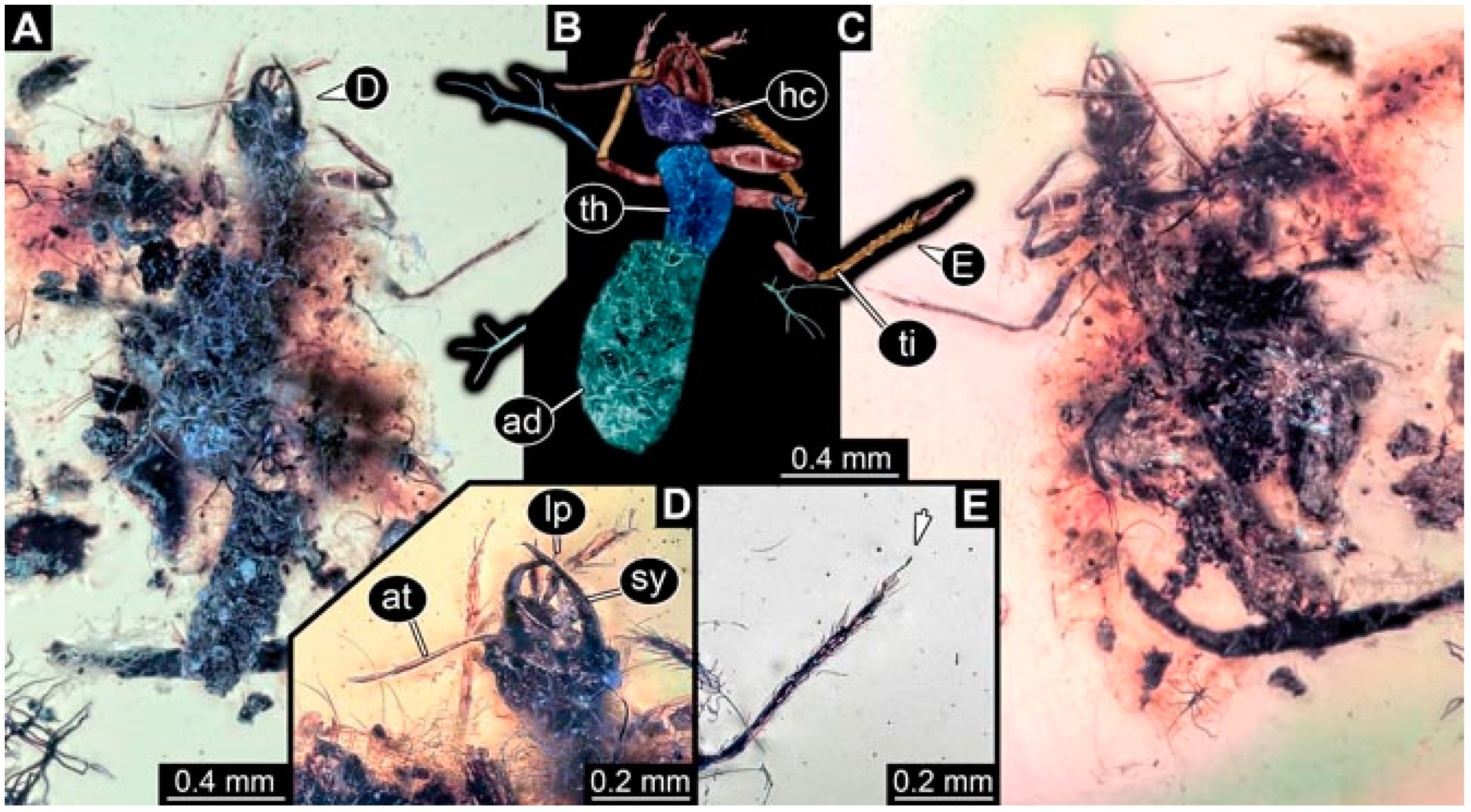 Insects 13 00336 g029