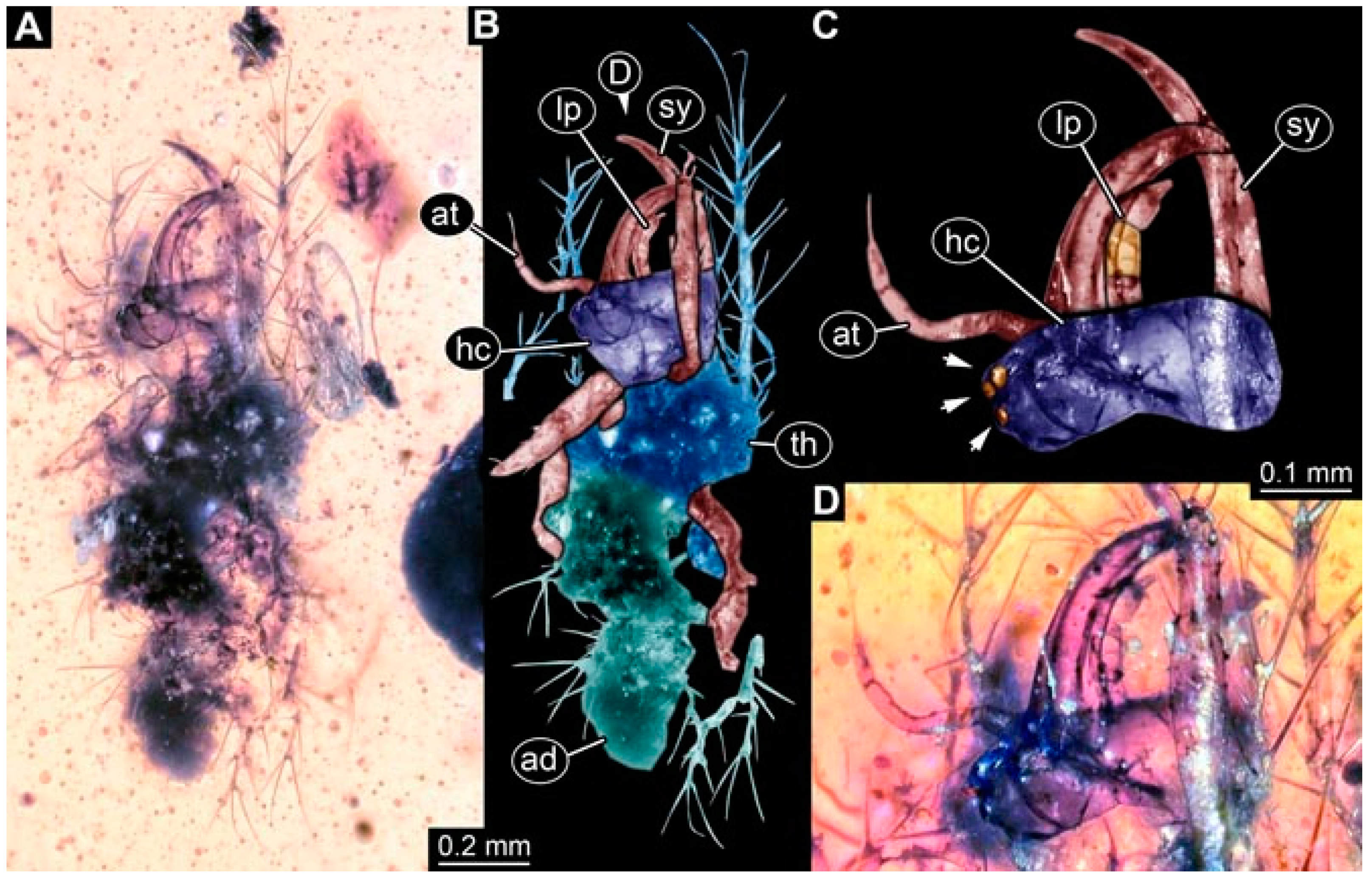 Insects 13 00336 g030